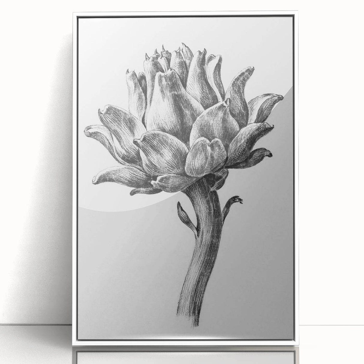 Romanticism Art - Artichoke Study - Classic Botanical Romantic Print