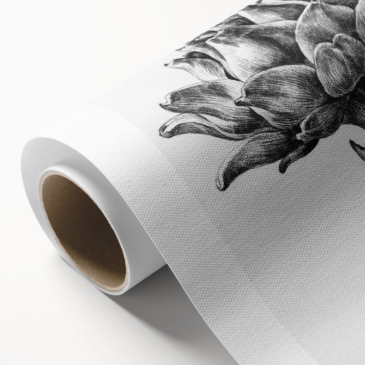 Romanticism Art - Artichoke Study - Classic Botanical Romantic Print