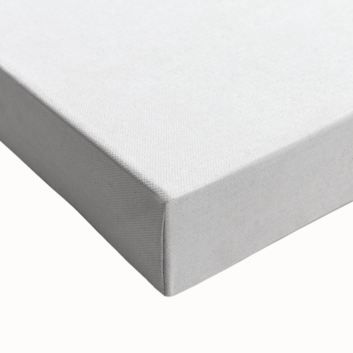 Romanticism Art - Artichoke Study - Classic Botanical Romantic Print