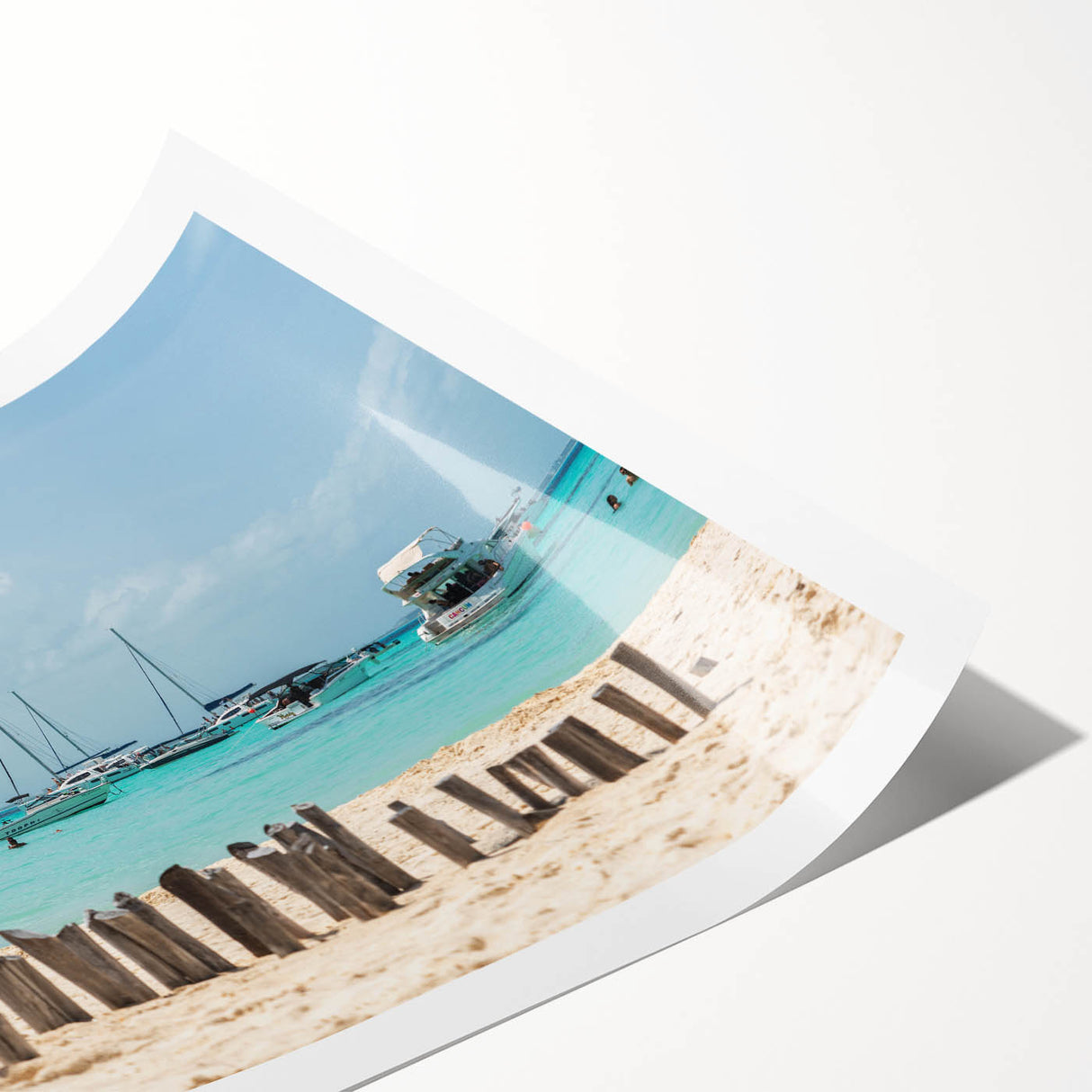 Extra large wall art featuring line art flowers in monochrome tones on rolled print, ideal for large living room wall decor.