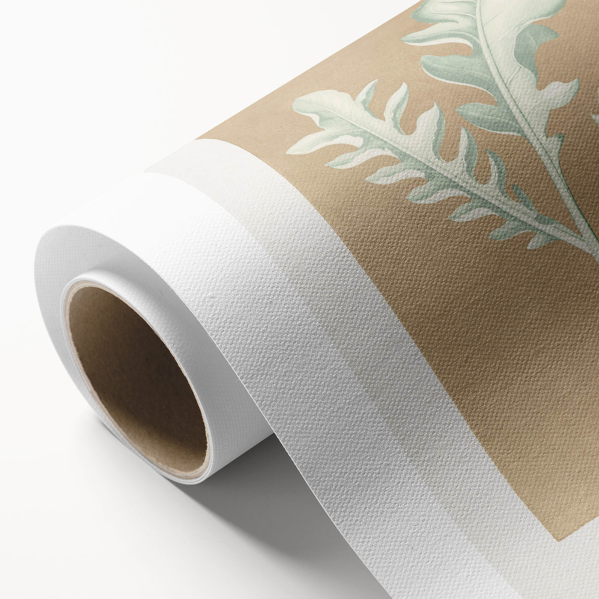 Classic Romantic Paintings: Centaurea Candidissima - Botanical Art Print