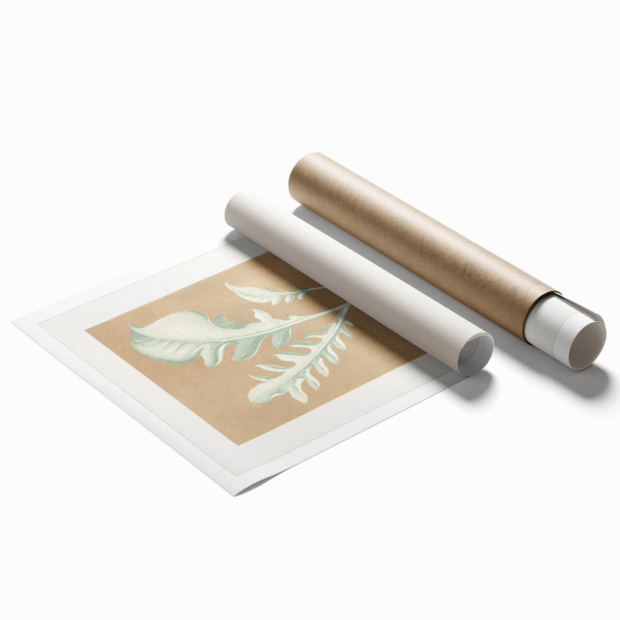 Classic Romantic Paintings: Centaurea Candidissima - Botanical Art Print