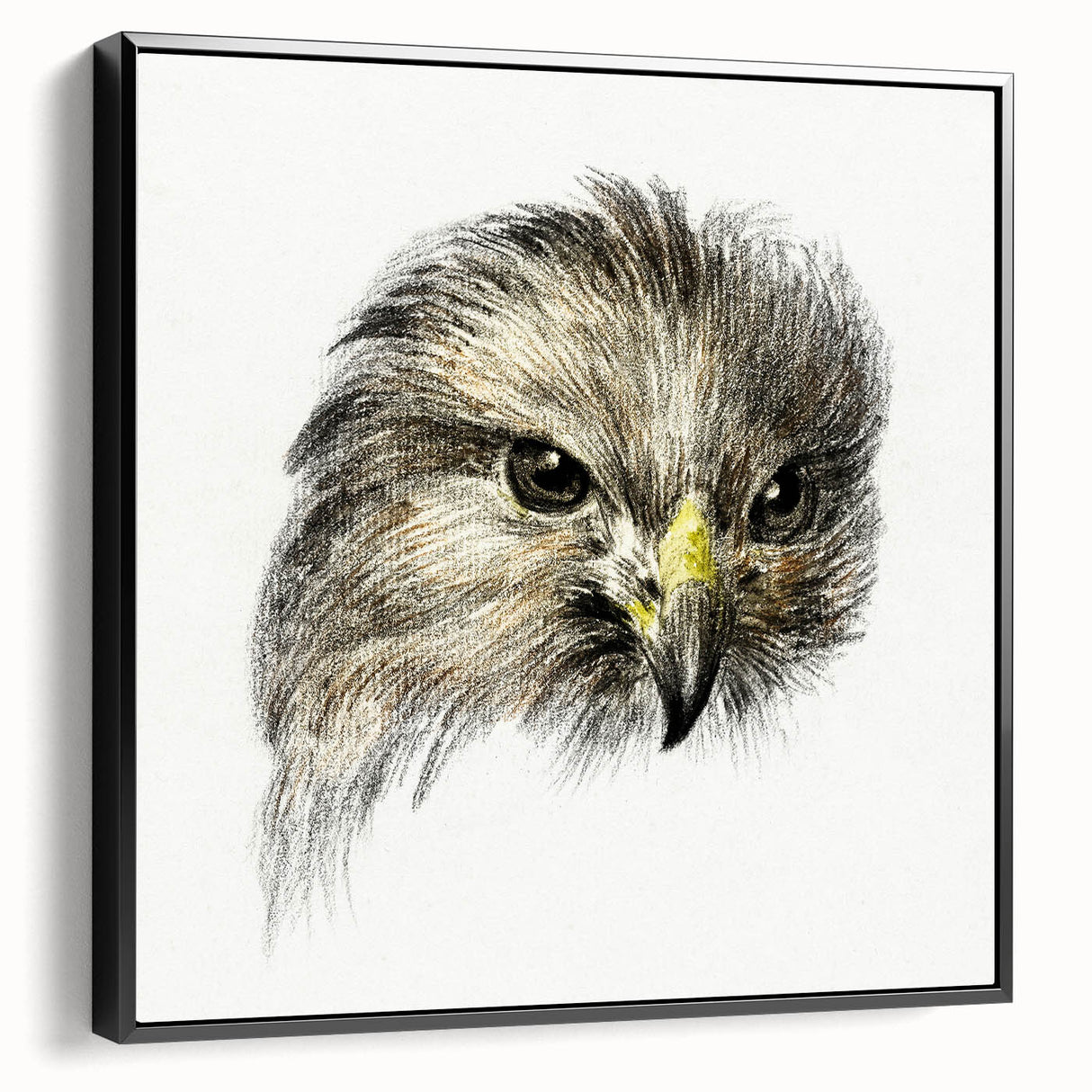 Head of a Bird of Prey by Jean Bernard - Romantic Wildlife Art Print