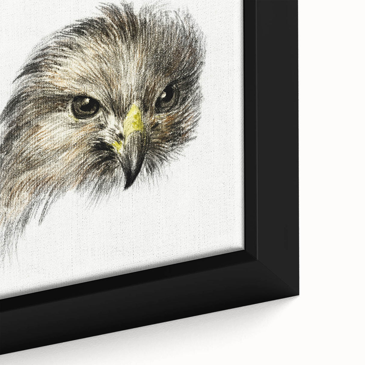 Head of a Bird of Prey by Jean Bernard - Romantic Wildlife Art Print