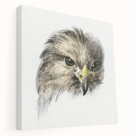 Head of a Bird of Prey by Jean Bernard - Romantic Wildlife Art Print