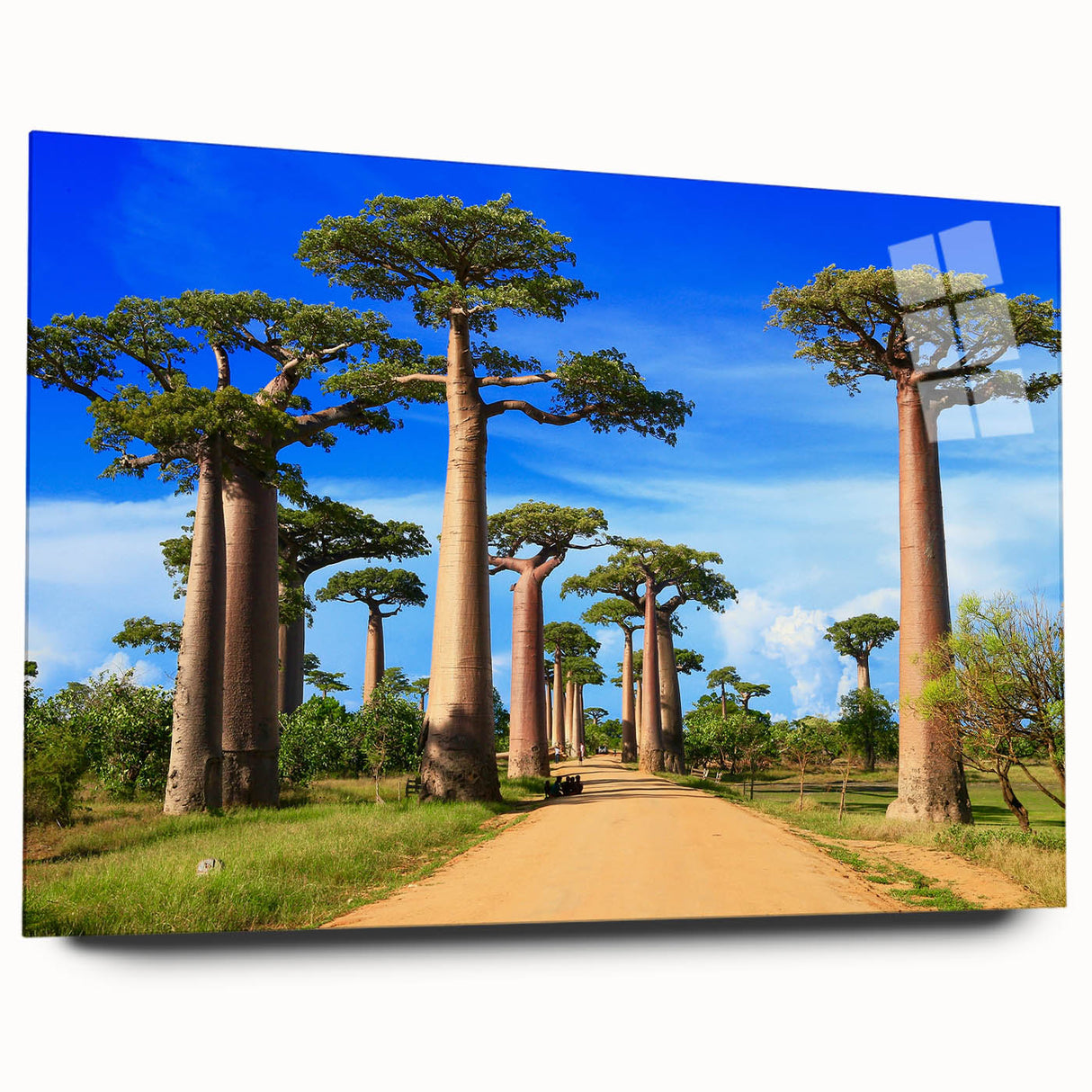 Acrylic print of a large abstract Madagascar scenery in earthy tones, ideal for bedroom or dining room art.