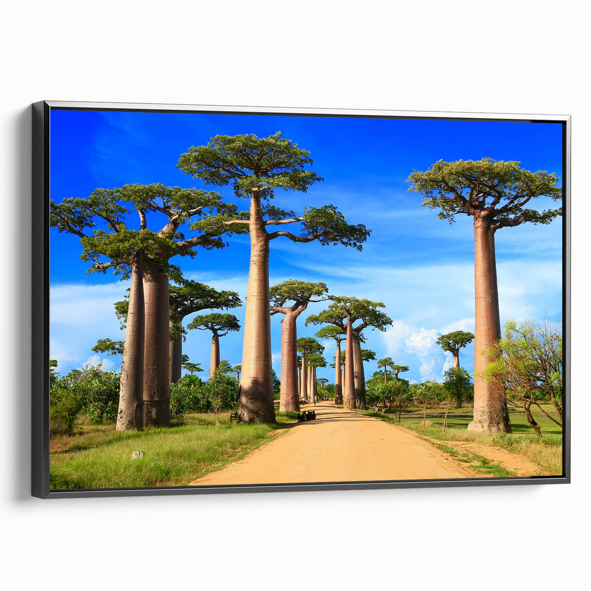 Framed canvas depicting a black and white vintage landscape of Madagascar, ideal for bedroom wall art.