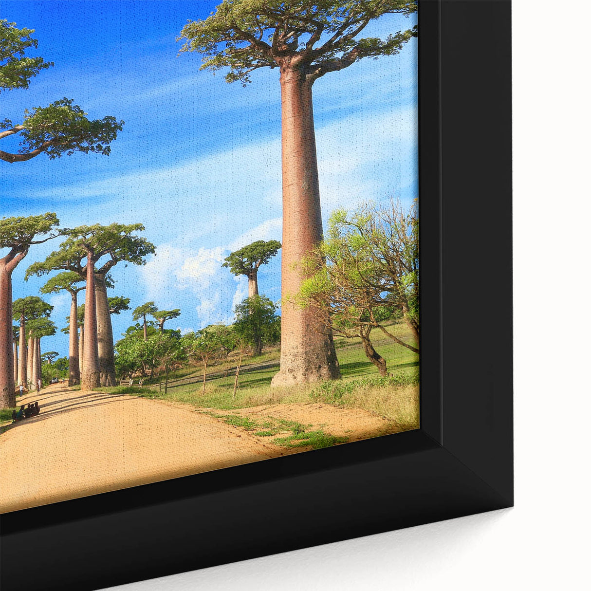Extra large black wall art featuring a textured Madagascar scenery on framed canvas, ideal for living room decor.
