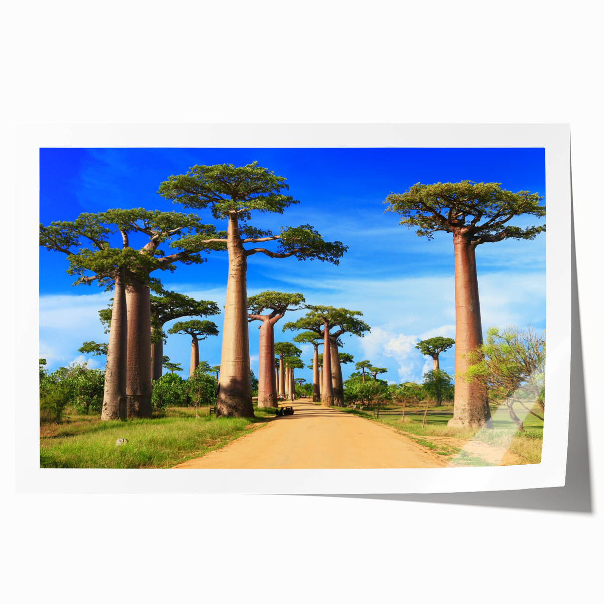African Madagascar landscape with lush greenery on rolled print, suitable as extra large wall art for dining rooms.
