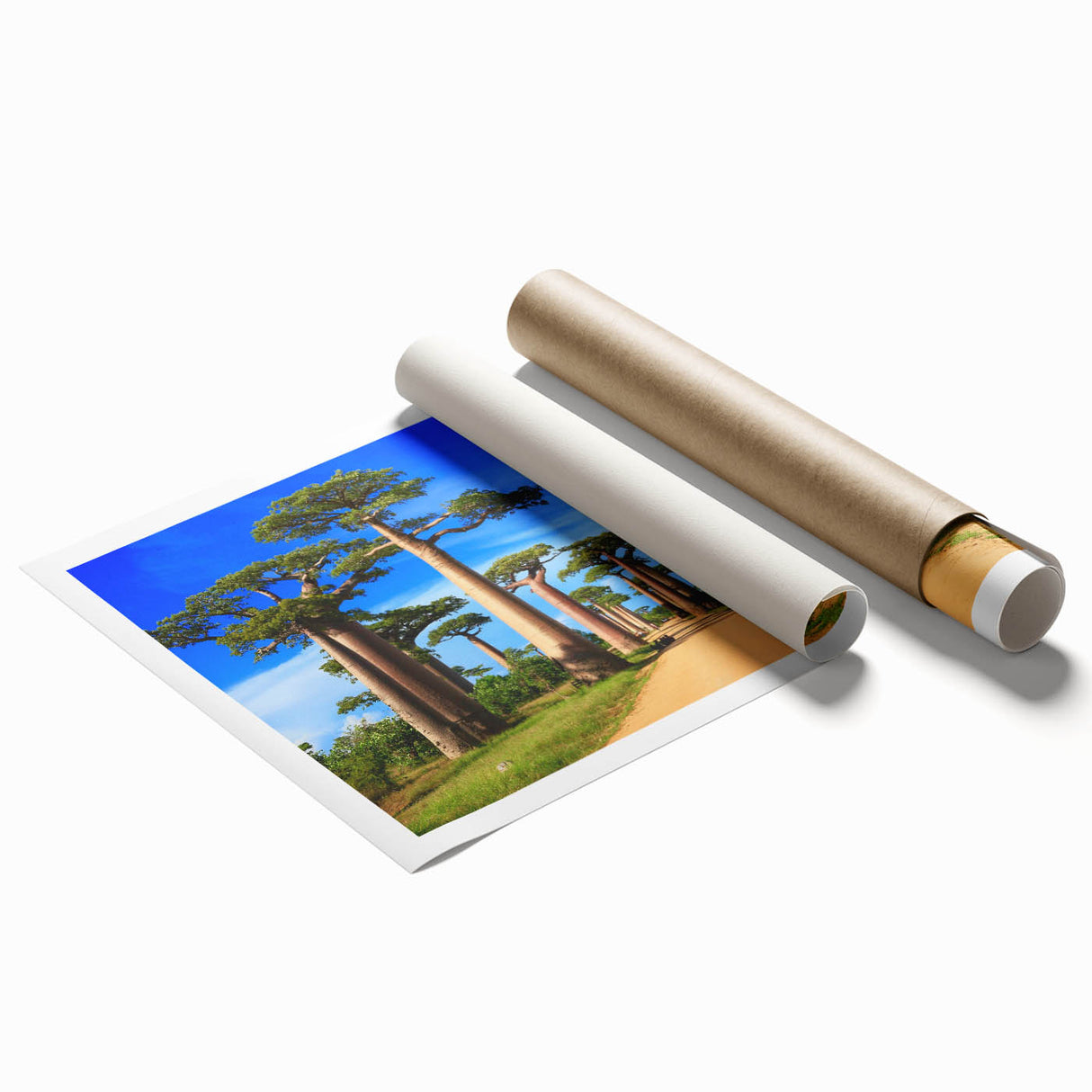 Extra large rolled print of Madagascar scenery with vibrant green and earth tones.