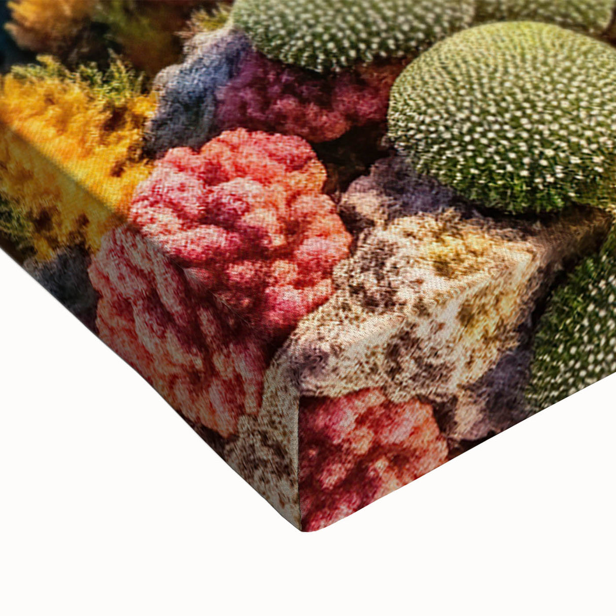 Large art of a Seychelles landscape in black and white on stretched canvas, ideal for bedroom wall decor.