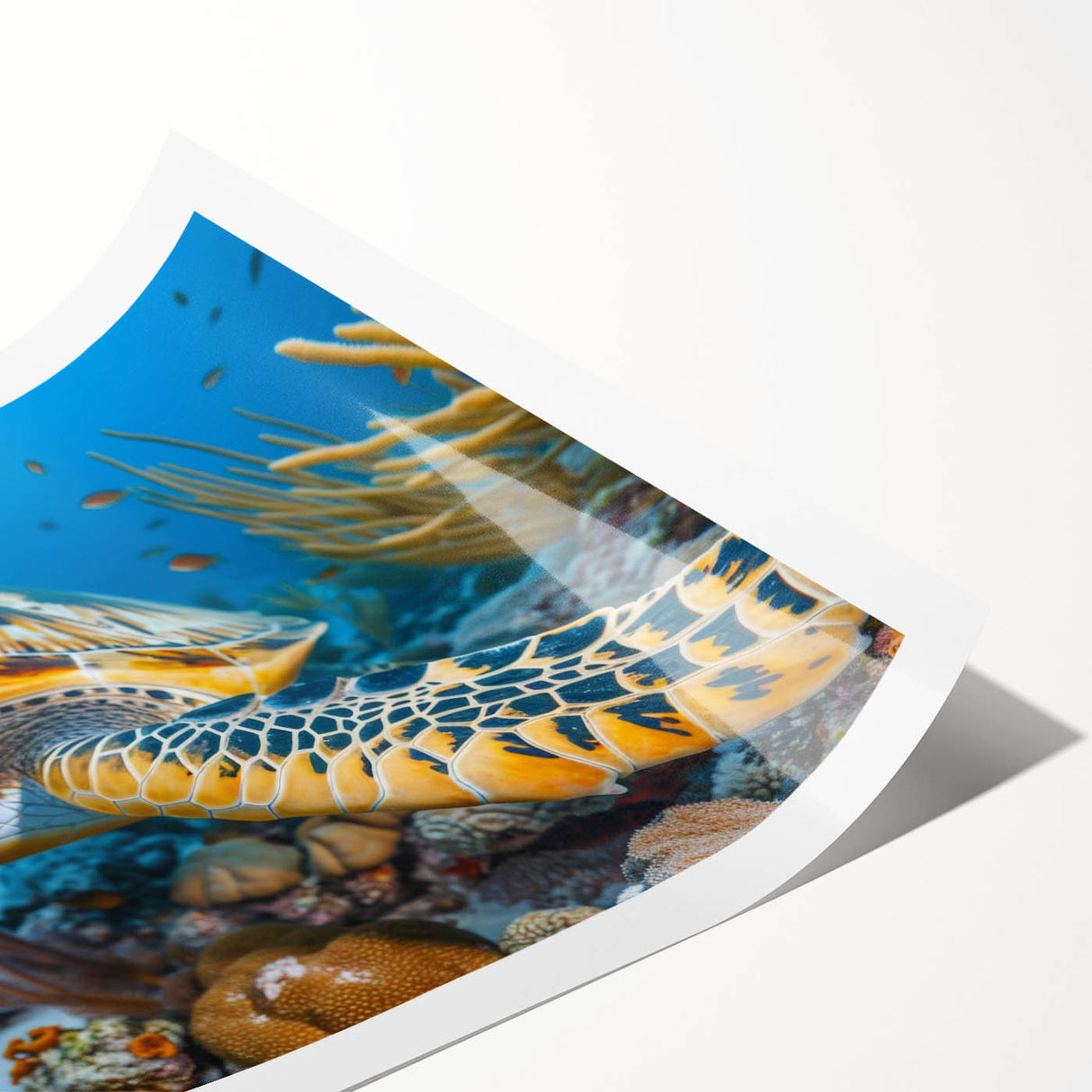 Extra large rolled print featuring line art flowers in soft pastel shades, ideal for large living room wall art.