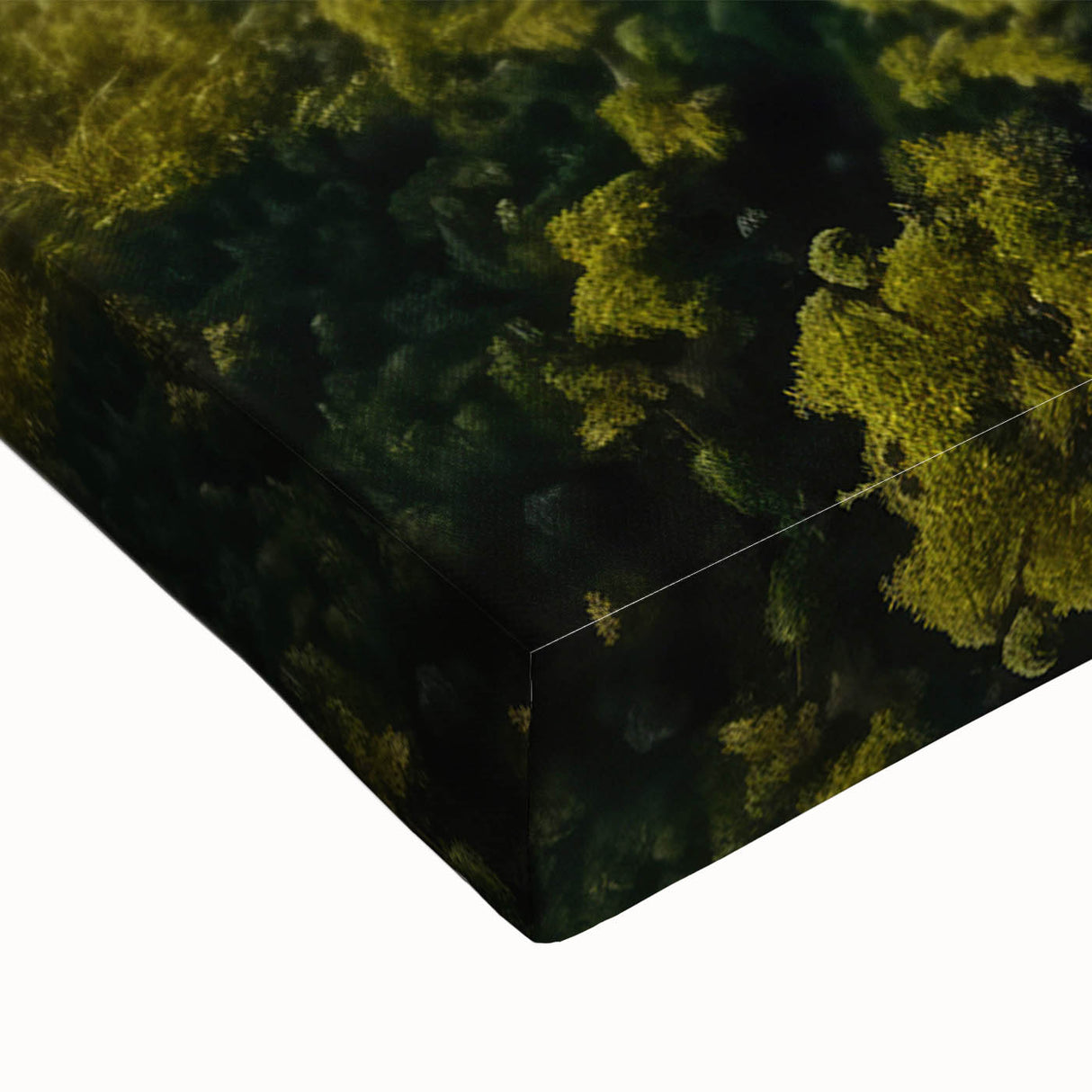 Large art of a black and white Tanzanian landscape on stretched canvas, suitable for bedroom wall decor.