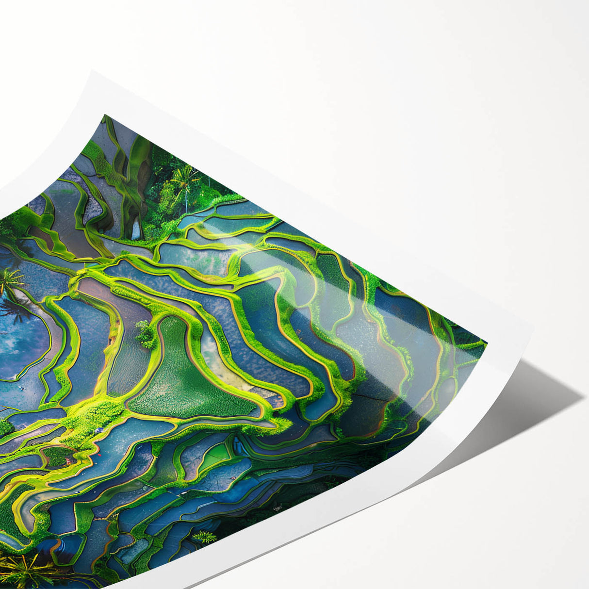 Extra large wall art featuring line art flowers in soft pastel shades on a rolled print.