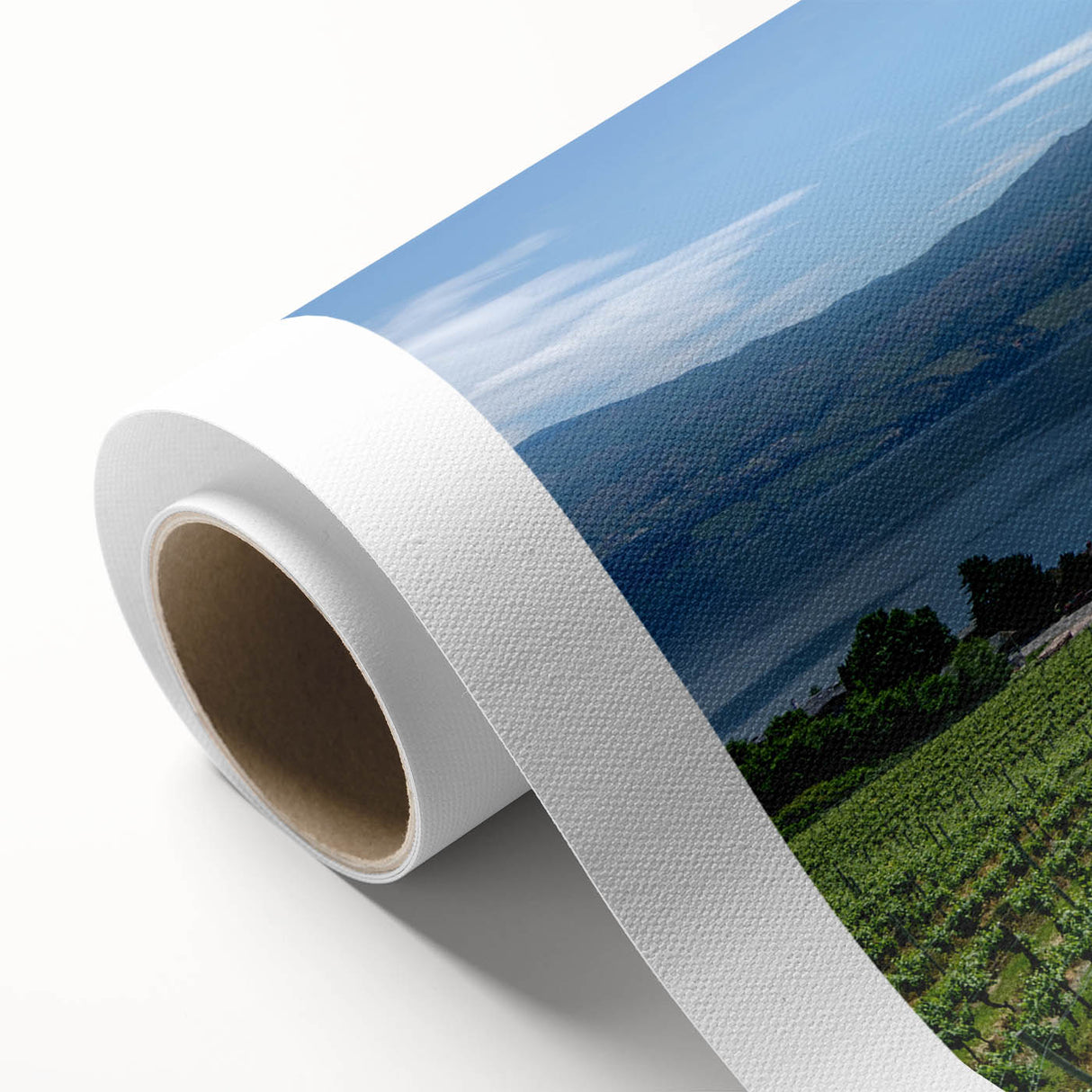 Art deco poster of British Columbia scenery on rolled canvas, showing muted green and blue tones.