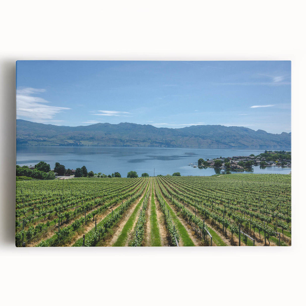 Black and white photo of British Columbia scenery on large stretched canvas, suitable for kitchen wall art.