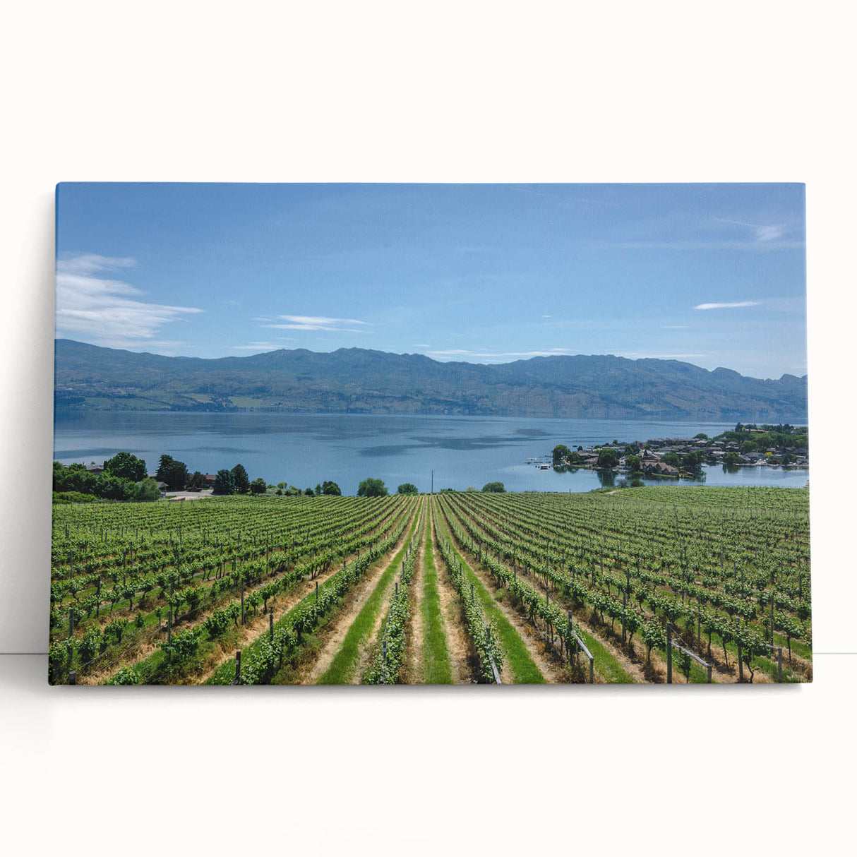 Black and white photograph of British Columbia landscape on stretched canvas, ideal for kitchen wall art.