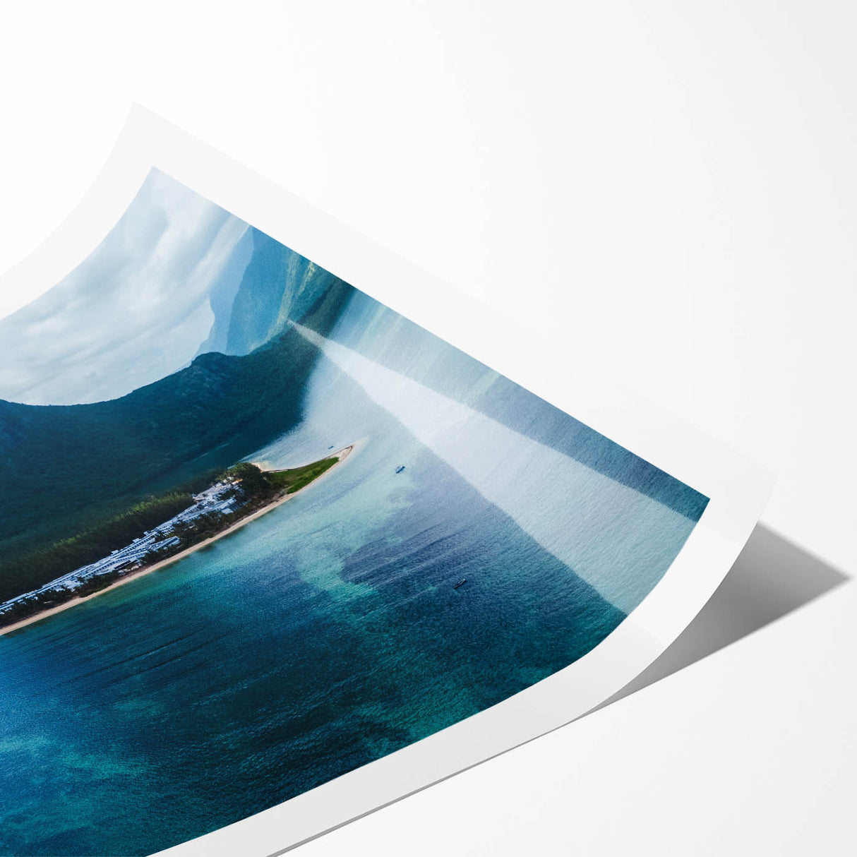 Extra large rolled print featuring line art flowers and soft pastel colors, ideal for large living room wall art.