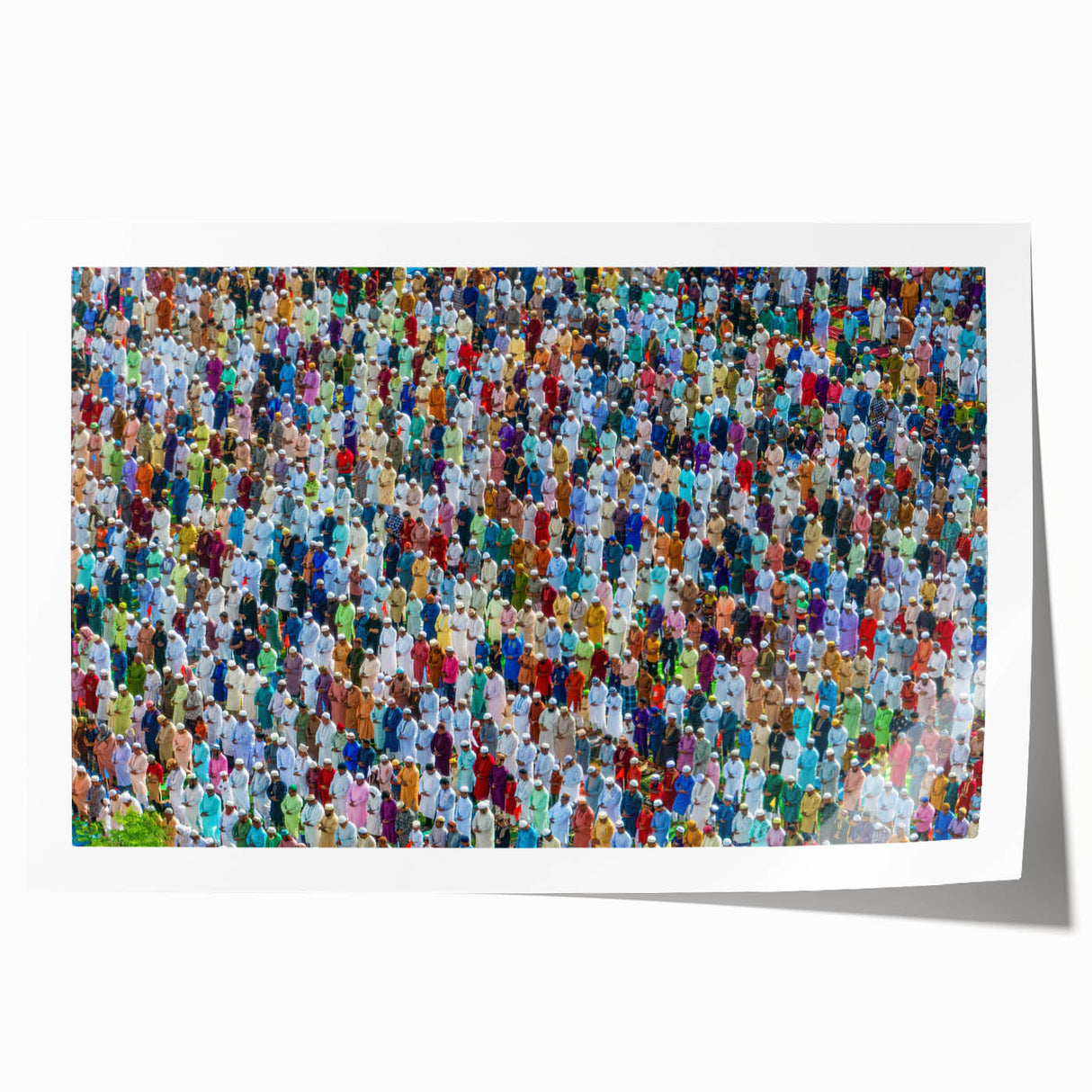 Extra large rolled print depicting vibrant floral scenery in Bangladesh, ideal for art wall dining room.