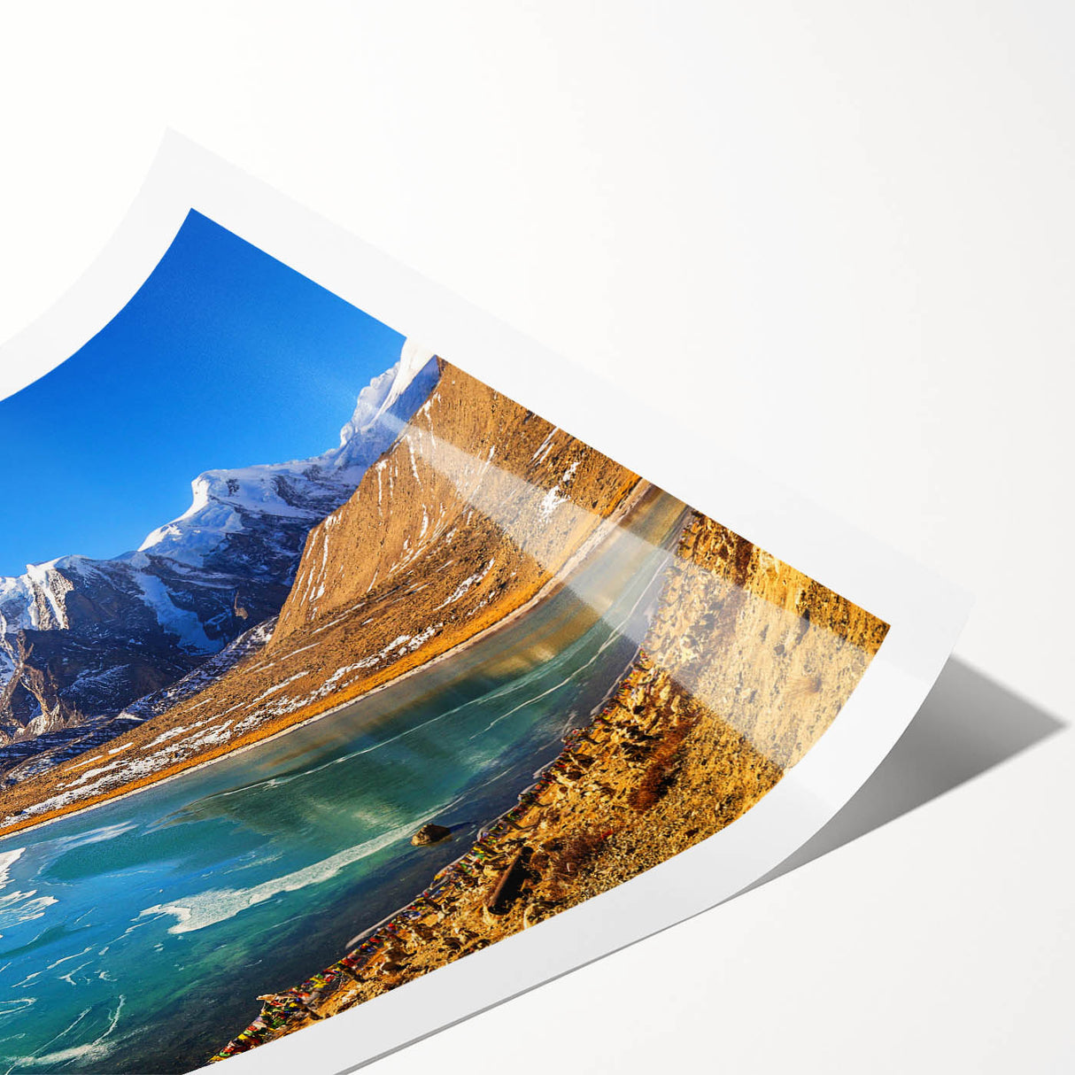 Extra large wall art featuring line art flowers in muted earth tones on a rolled canvas, ideal for large living room decor.