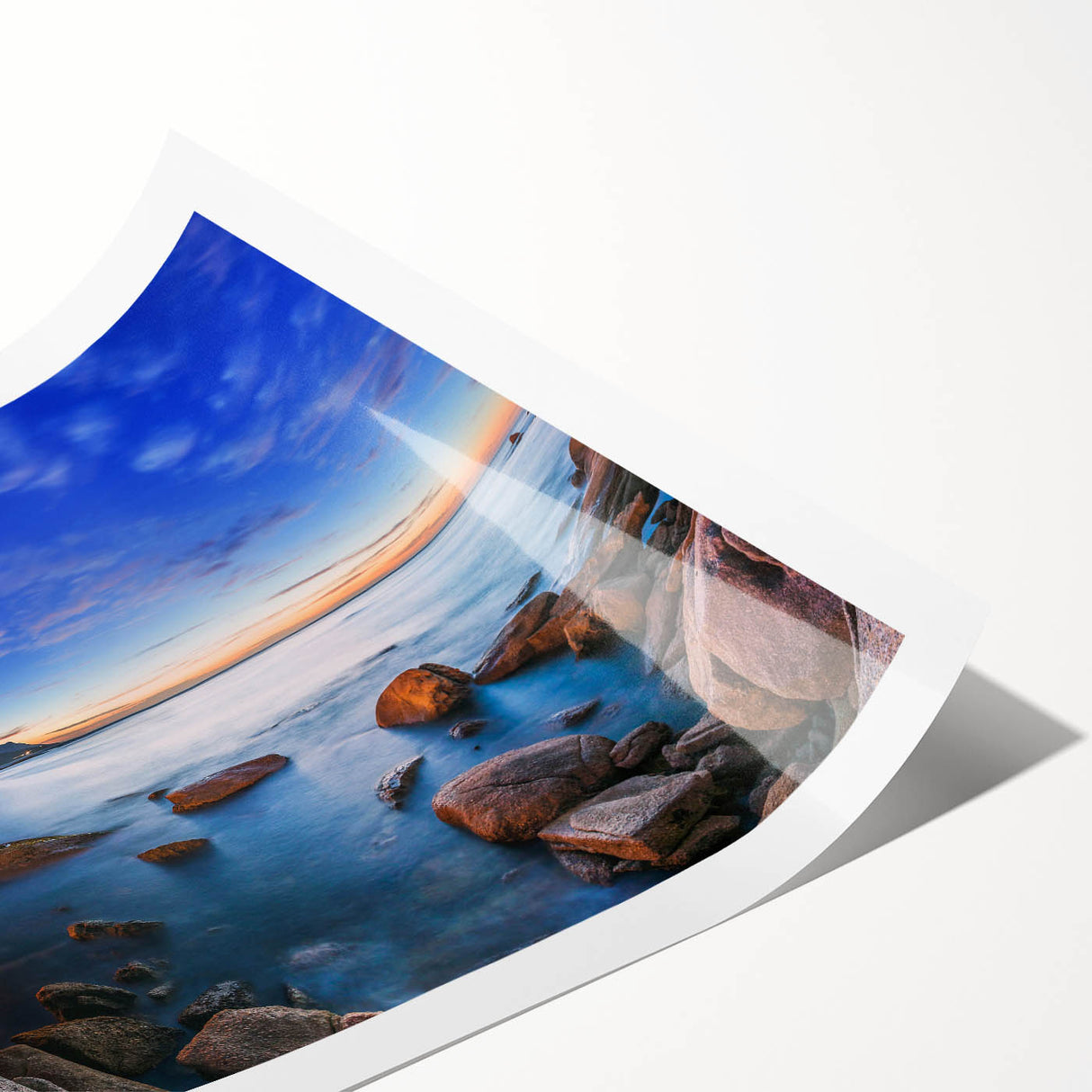 Extra large wall art featuring line art flowers in a South African scenery on a rolled print.