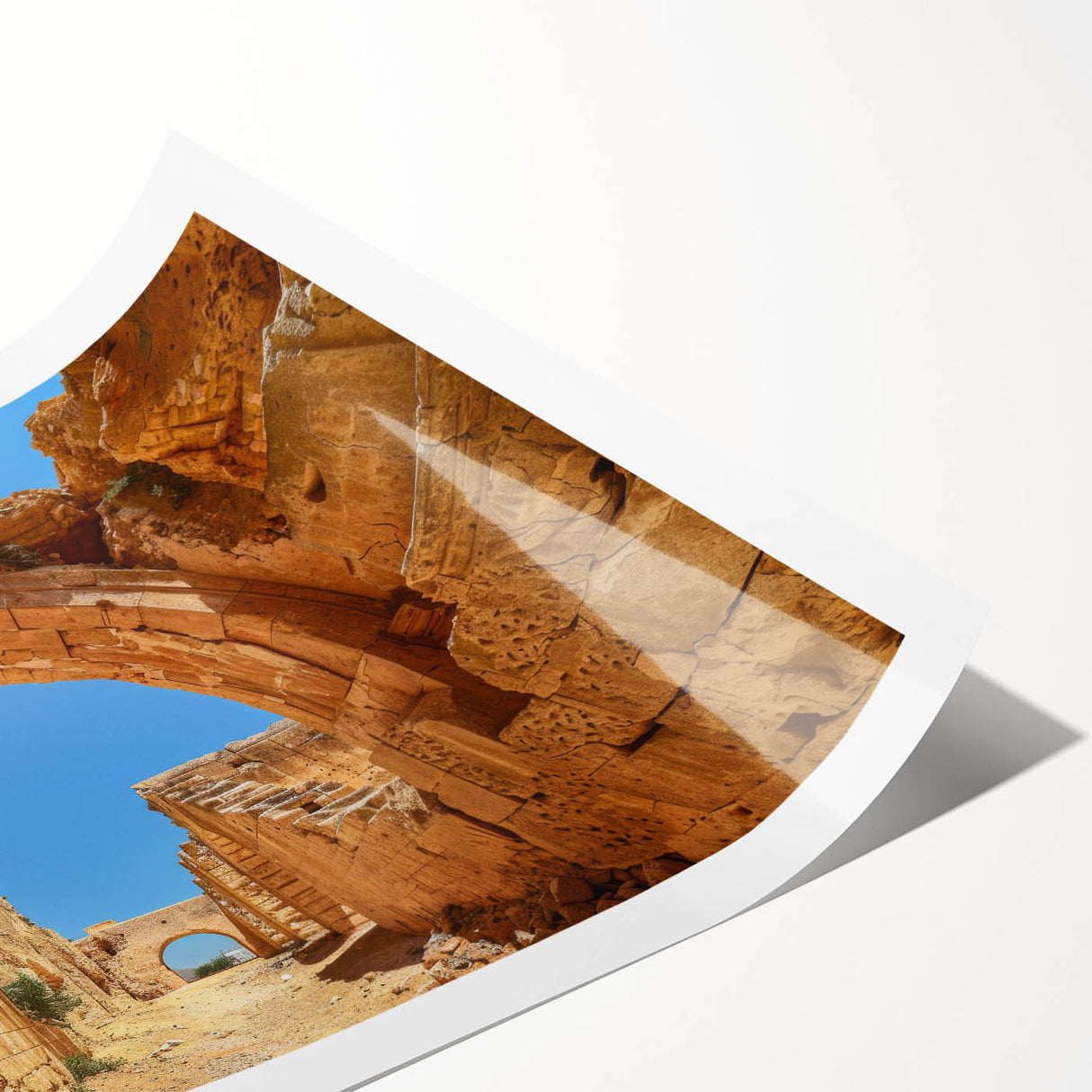 Extra large wall art featuring line art flowers in muted tones on rolled print, suited for large living room decor.