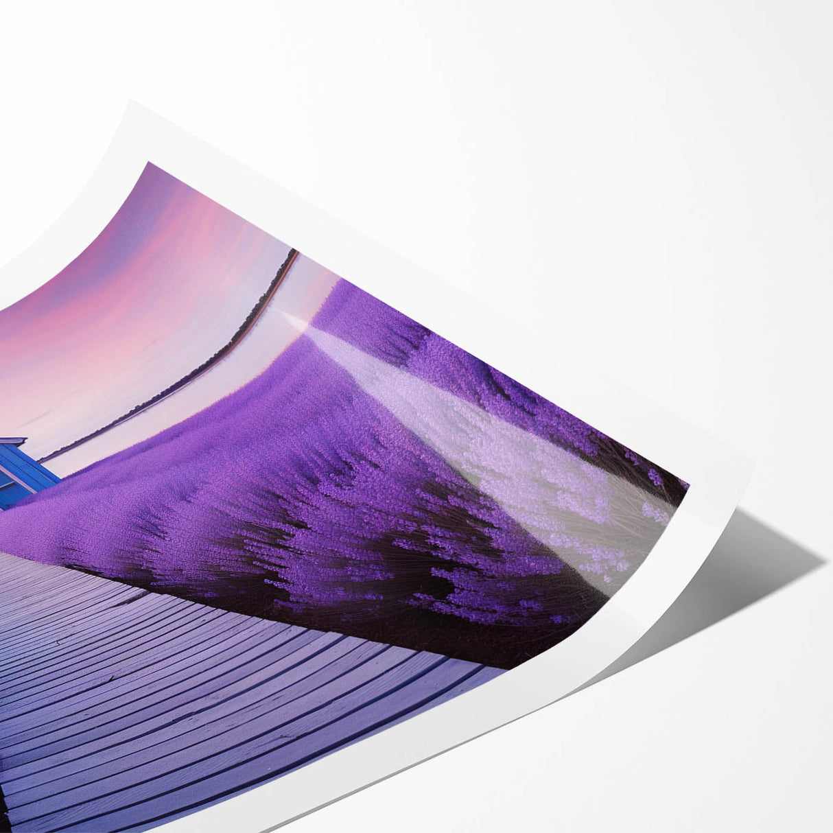 Extra large rolled print of line art flowers in black on white, ideal for large living room wall art.