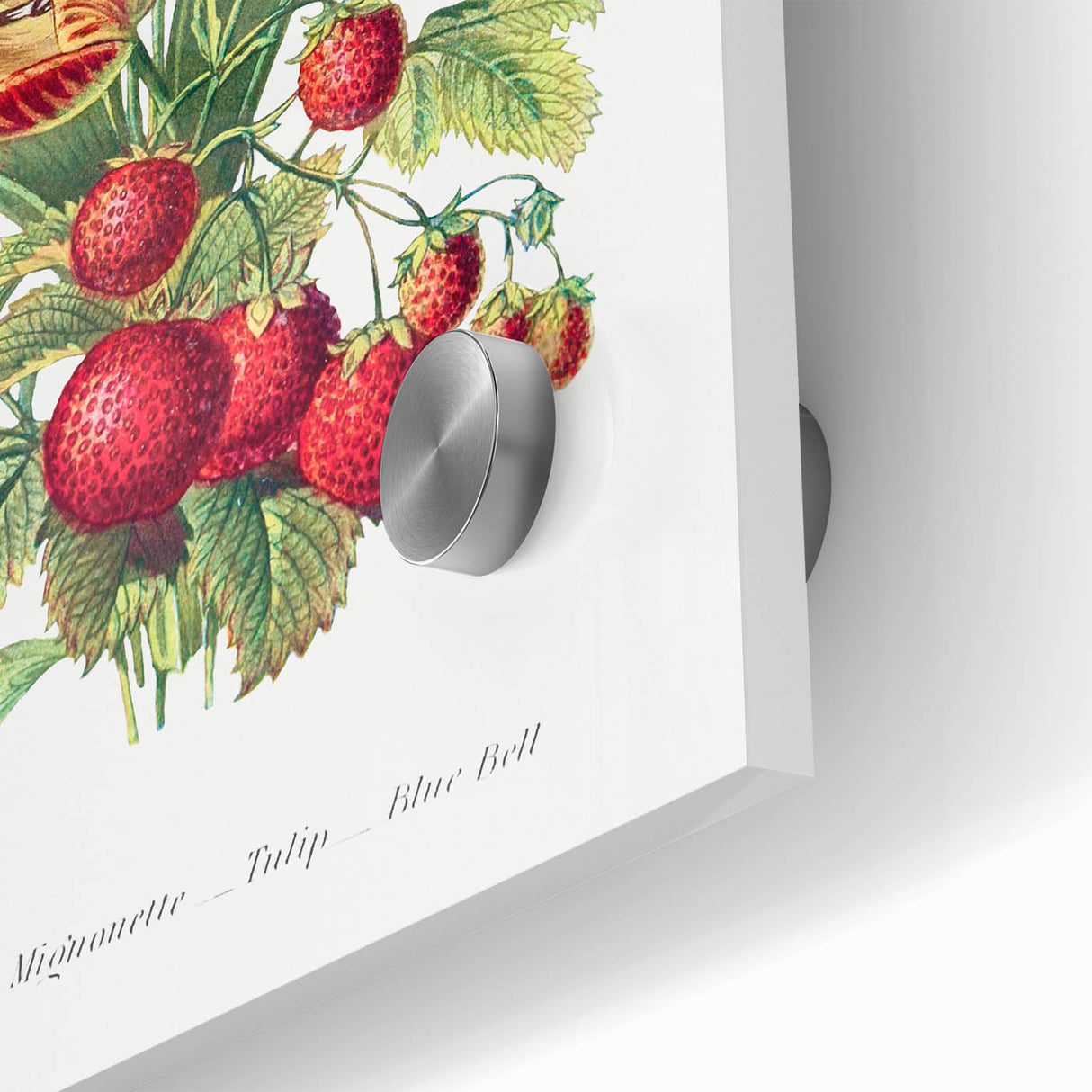 Classic Romantic Paintings - Strawberry and Tulip Art Print