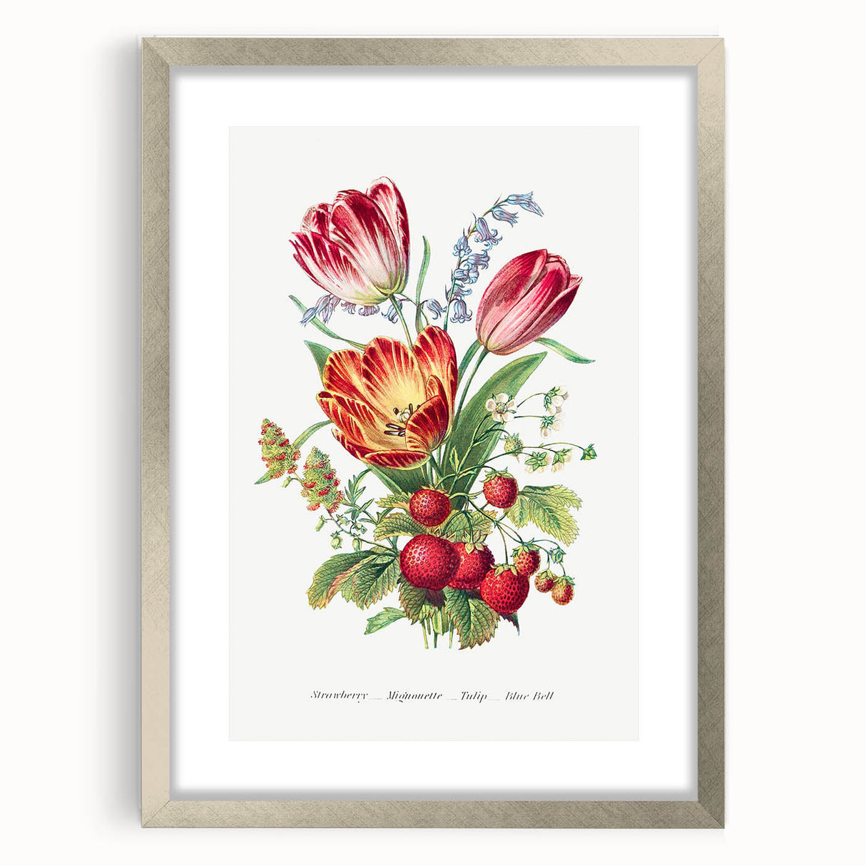 Classic Romantic Paintings - Strawberry and Tulip Art Print