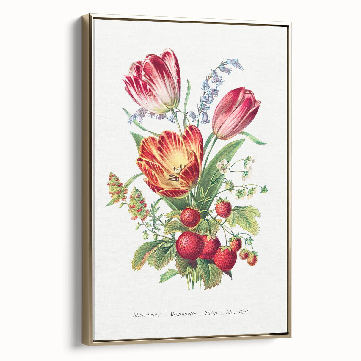 Classic Romantic Paintings - Strawberry and Tulip Art Print