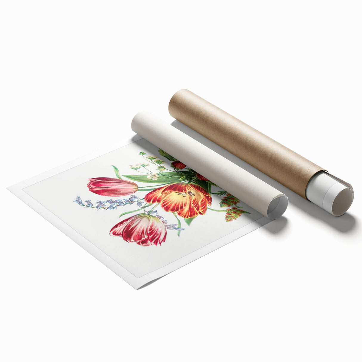 Classic Romantic Paintings - Strawberry and Tulip Art Print