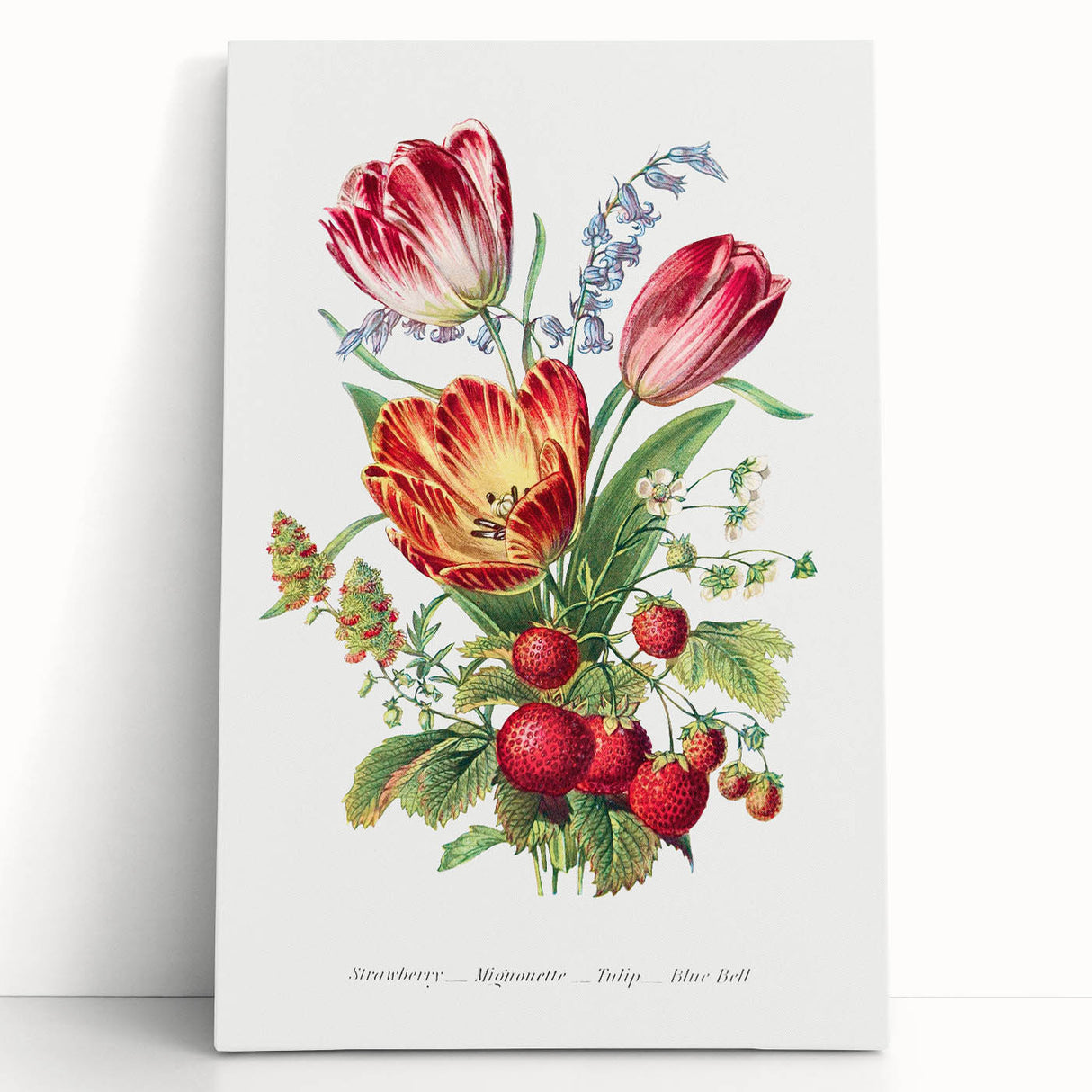 Classic Romantic Paintings - Strawberry and Tulip Art Print