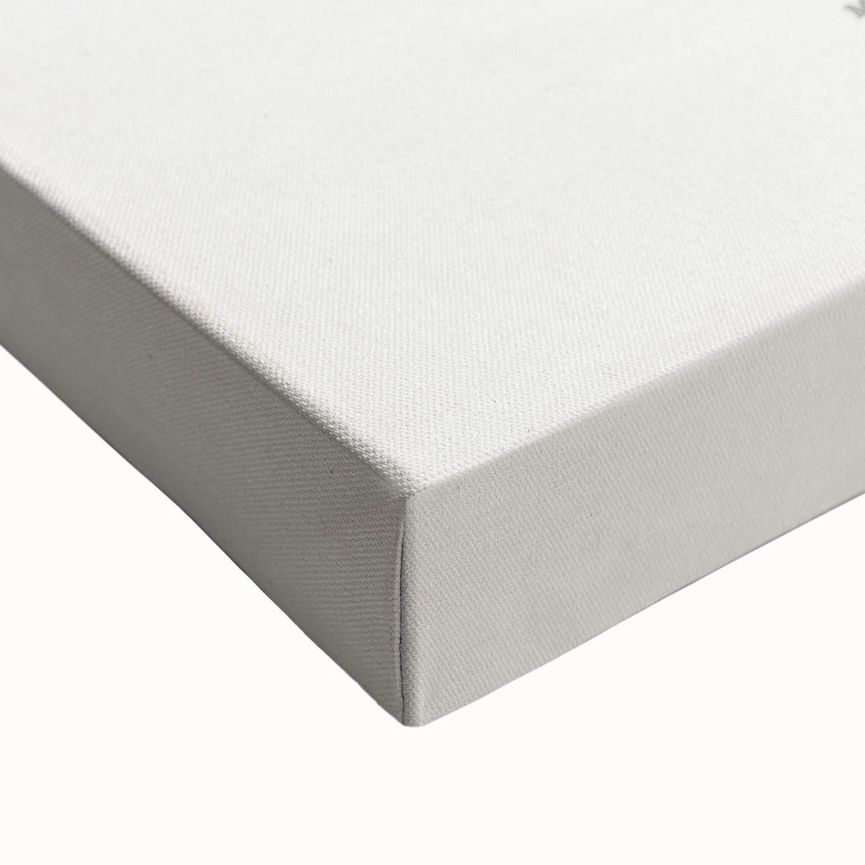 Romanticism Art - Green Maranta Fasciata Leaf Illustration