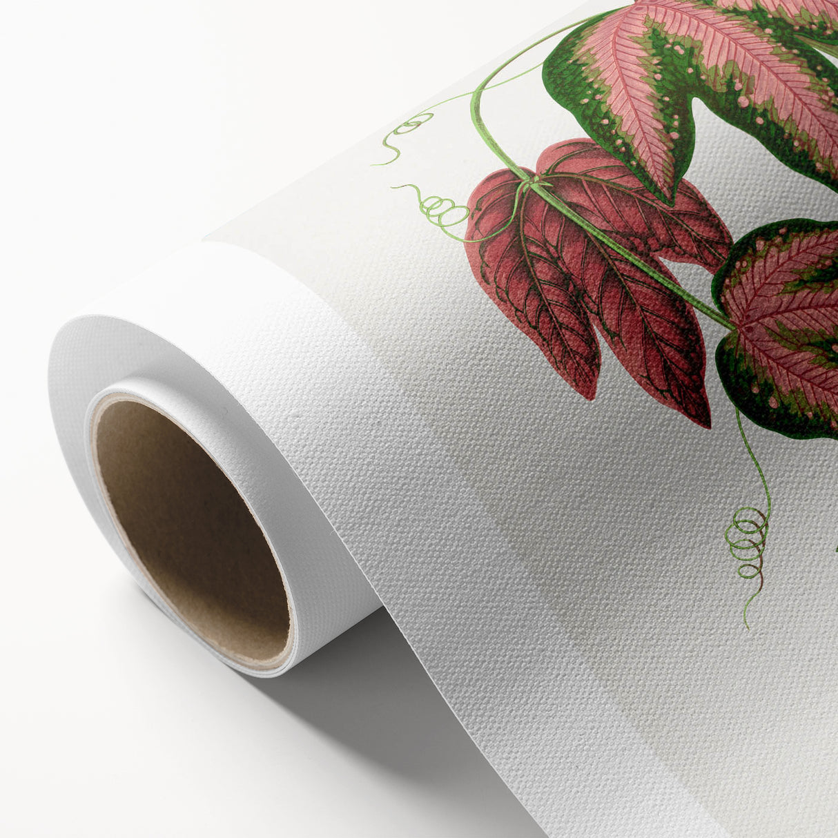 Romanticism Art - Passiflora Trifasciata Leaf Illustration