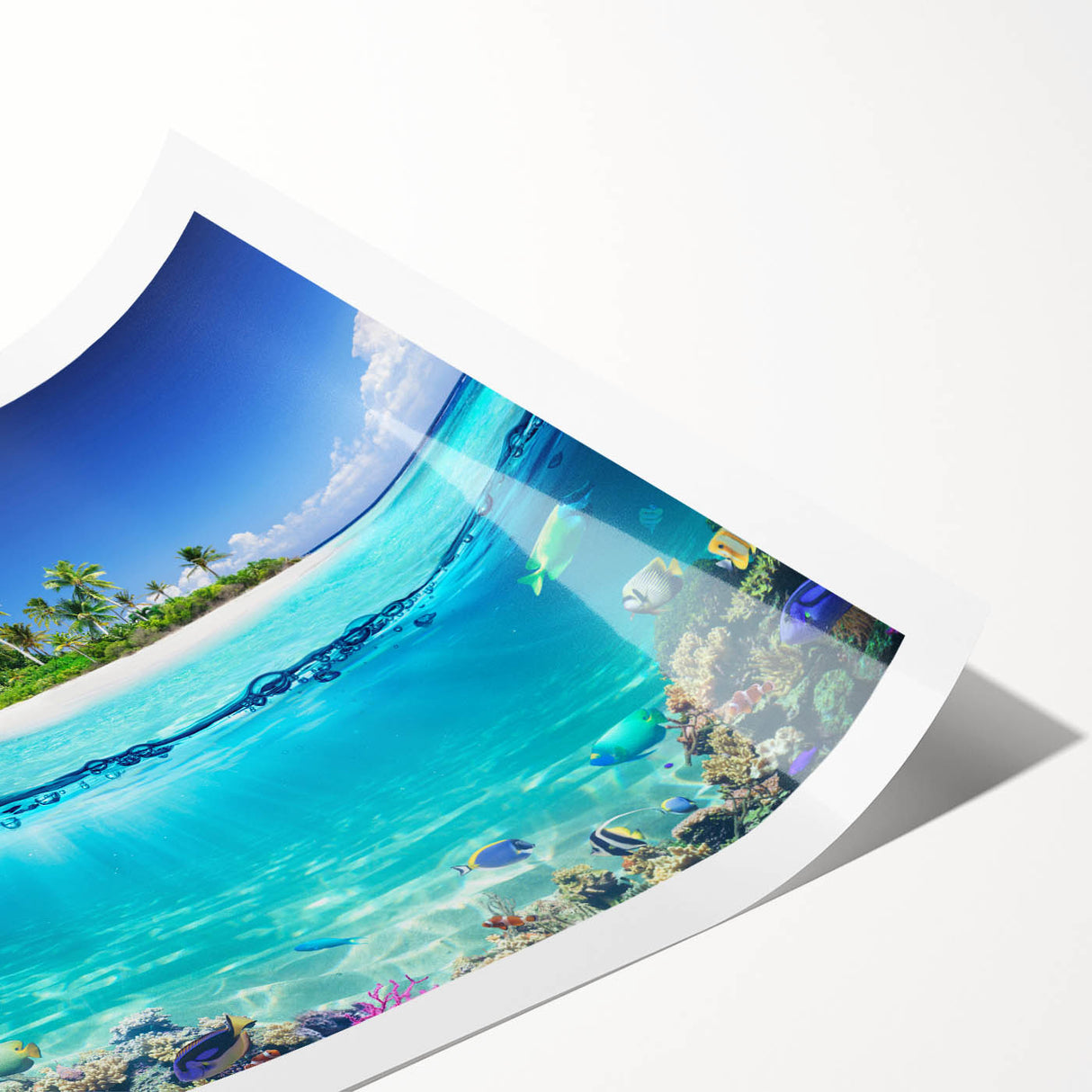 Extra large rolled print depicting Seychelles scenery with floral and line art flowers in vibrant hues.