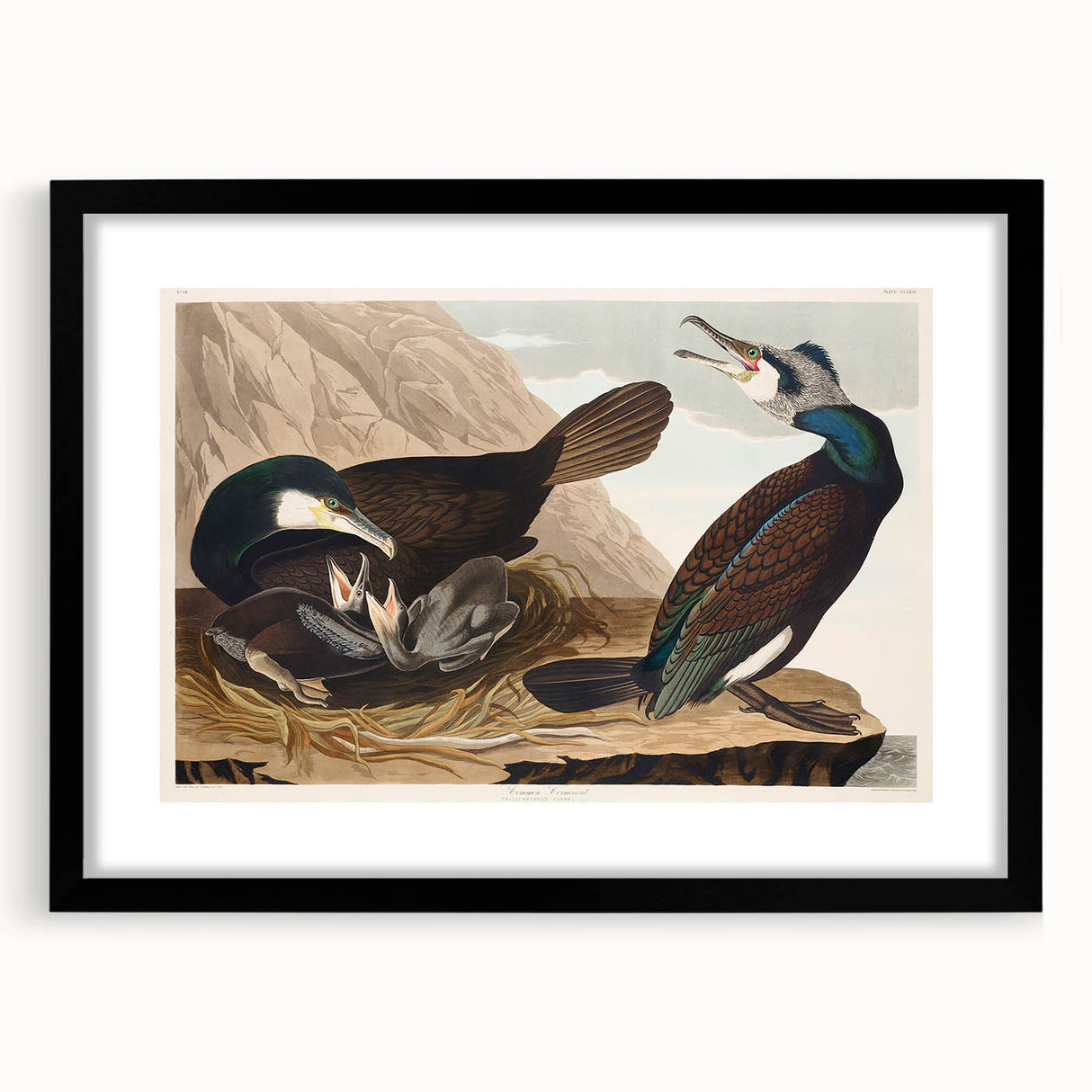 Romanticism Art - West Front of Cassiobury