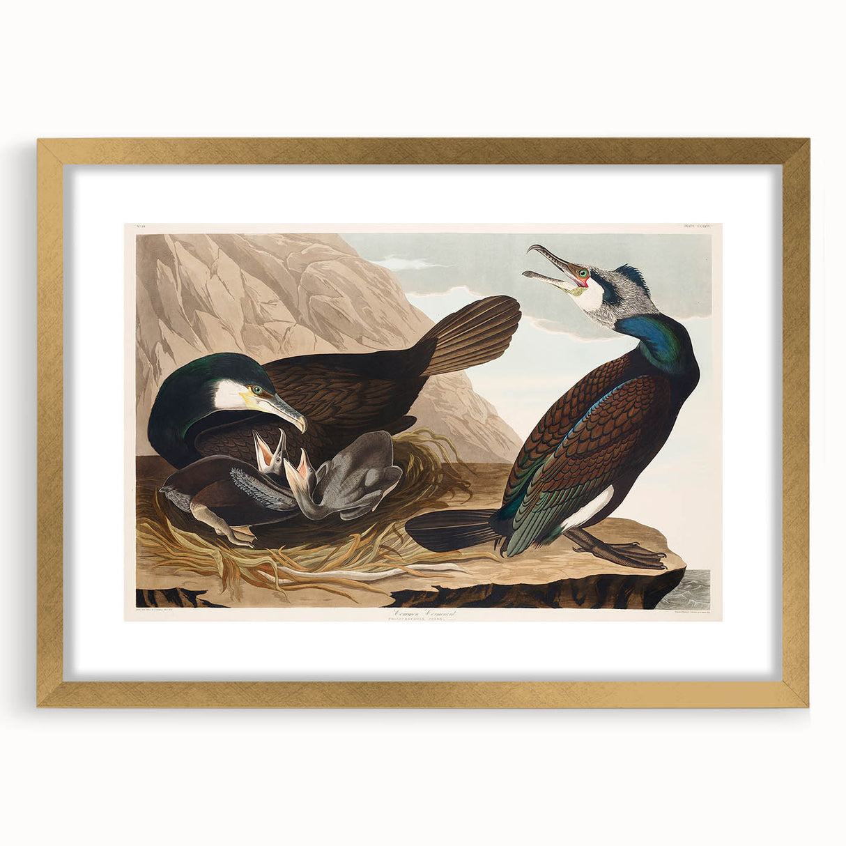 Romanticism Art - West Front of Cassiobury