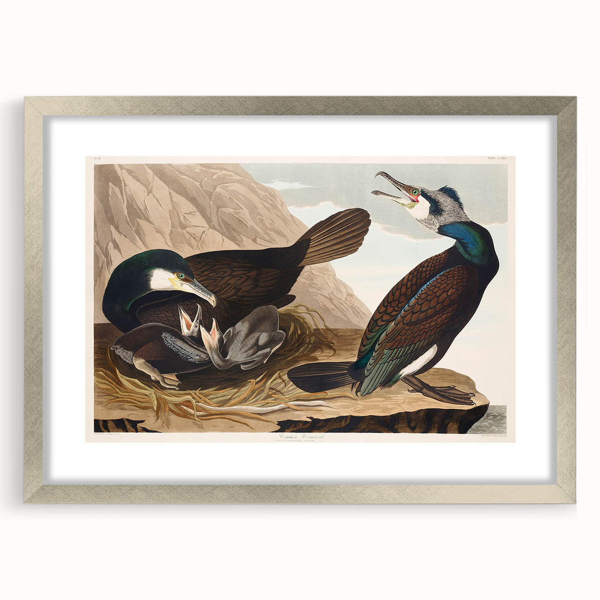 Romanticism Art - West Front of Cassiobury