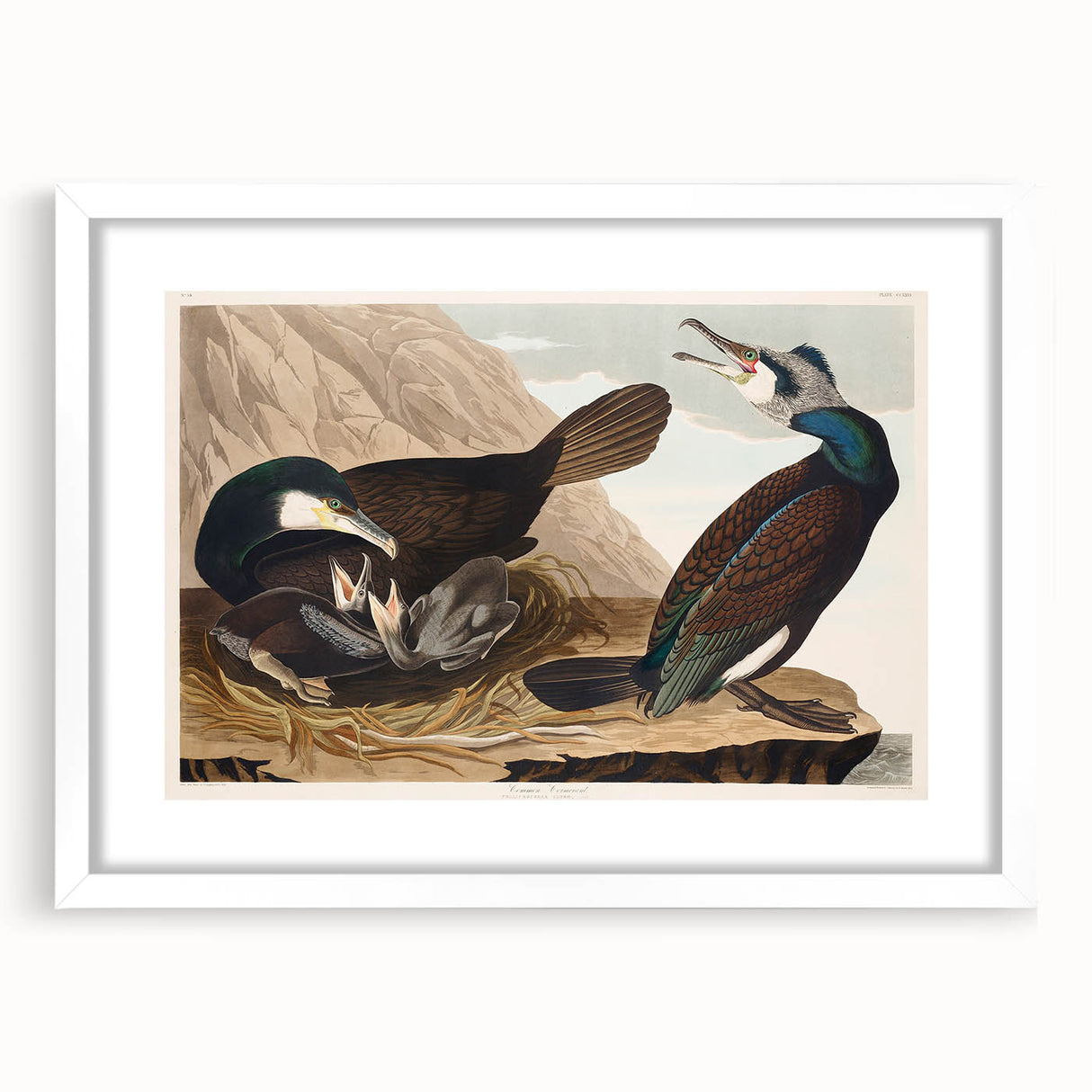 Romanticism Art - West Front of Cassiobury