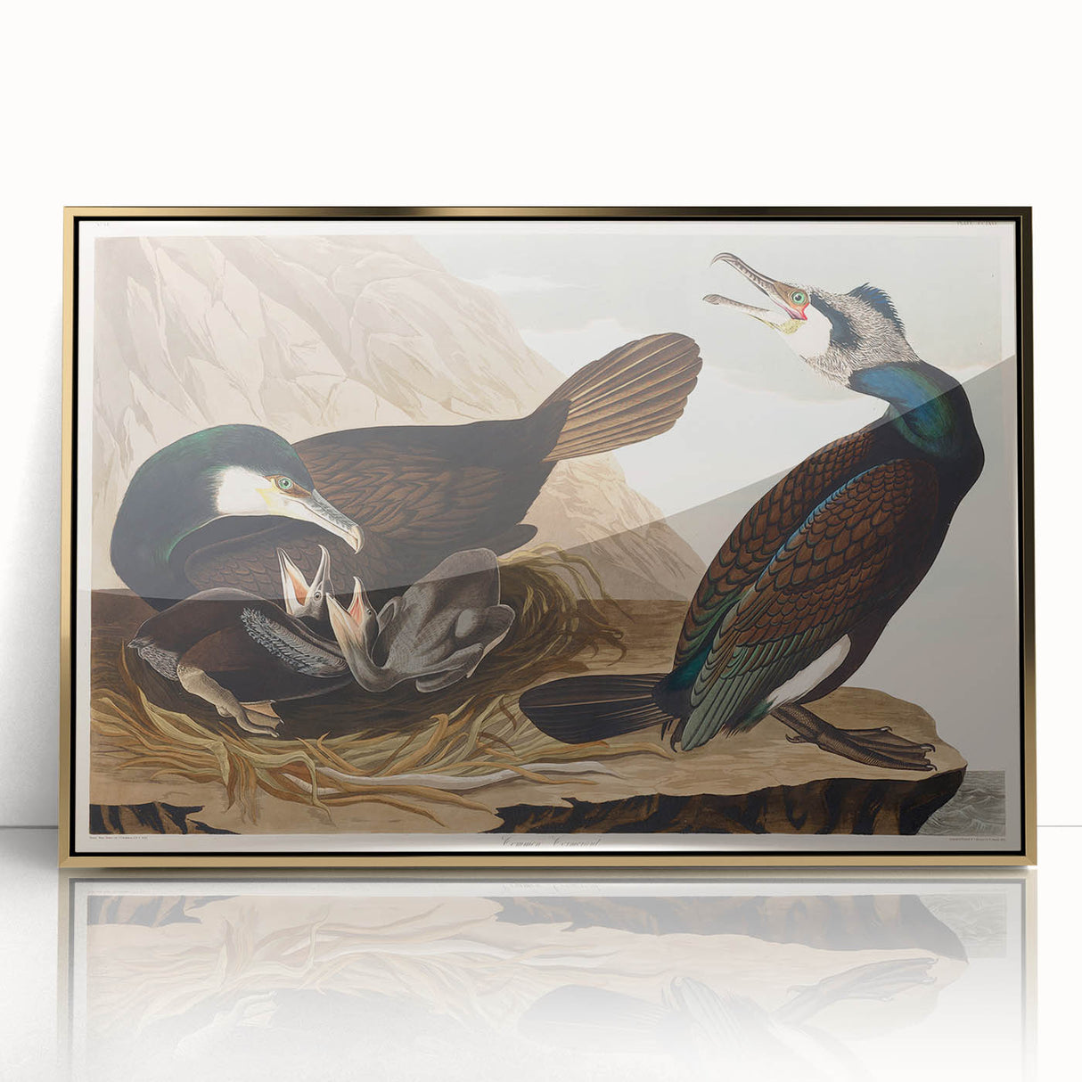 Romanticism Art - West Front of Cassiobury