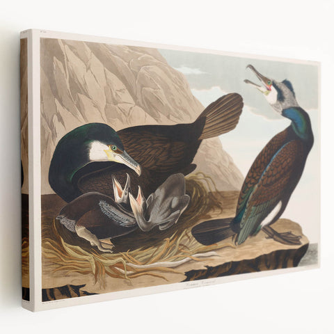 Romanticism Art - West Front of Cassiobury