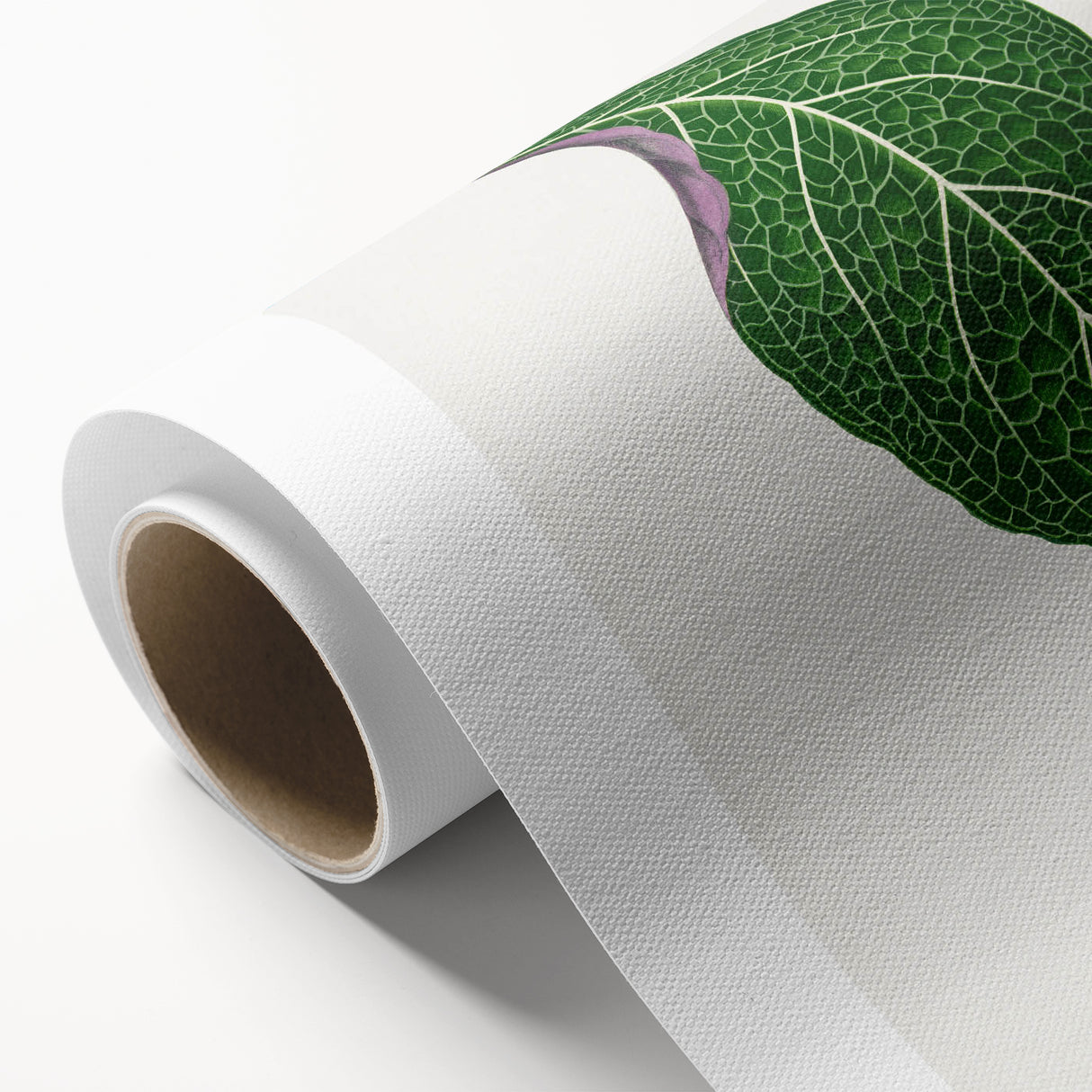 Romanticism Art: Green Adelaster Leaf - Historical Romantic Print