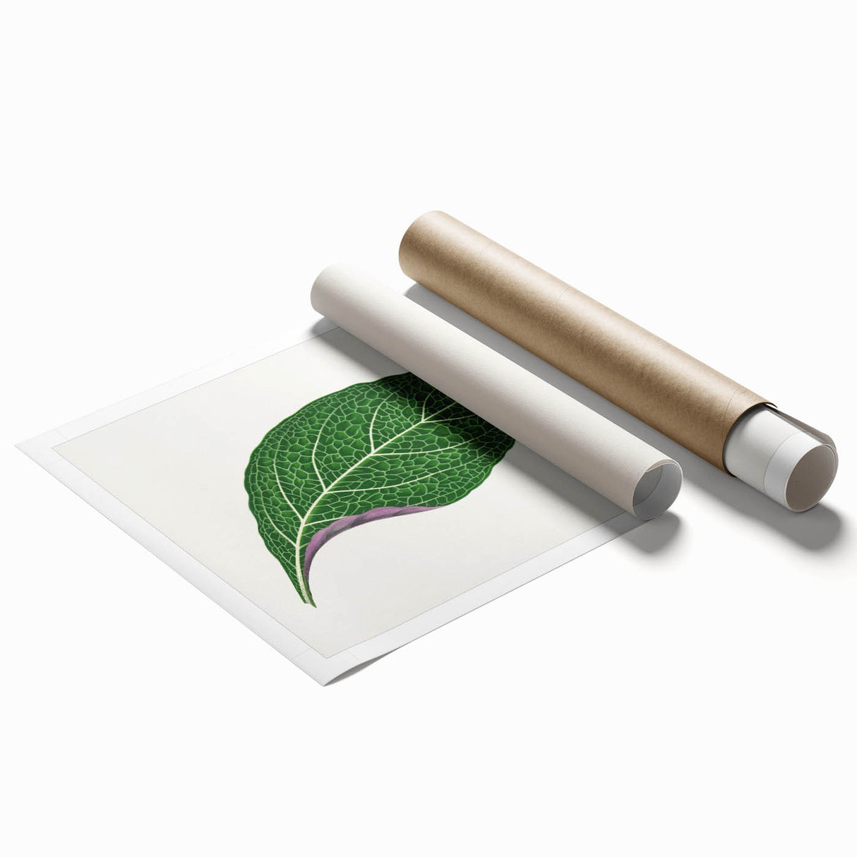 Romanticism Art: Green Adelaster Leaf - Historical Romantic Print