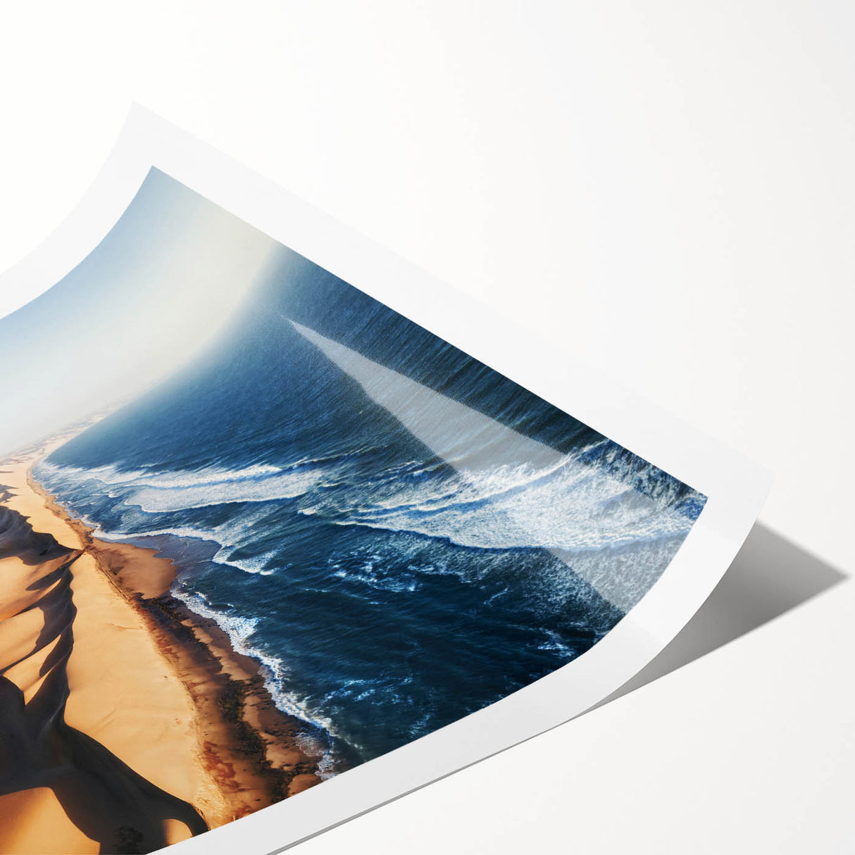 Extra large rolled print featuring a monochrome line art of flowers, ideal for large living room wall decor.