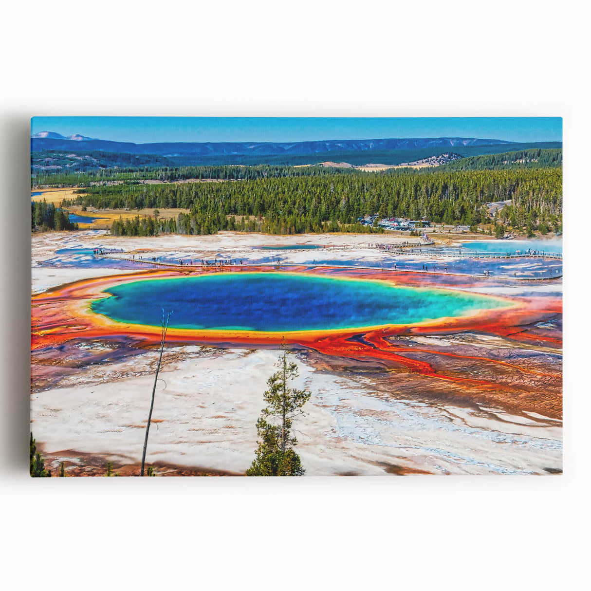 Black and white photo of Yellowstone on stretched canvas, ideal for kitchen wall art.
