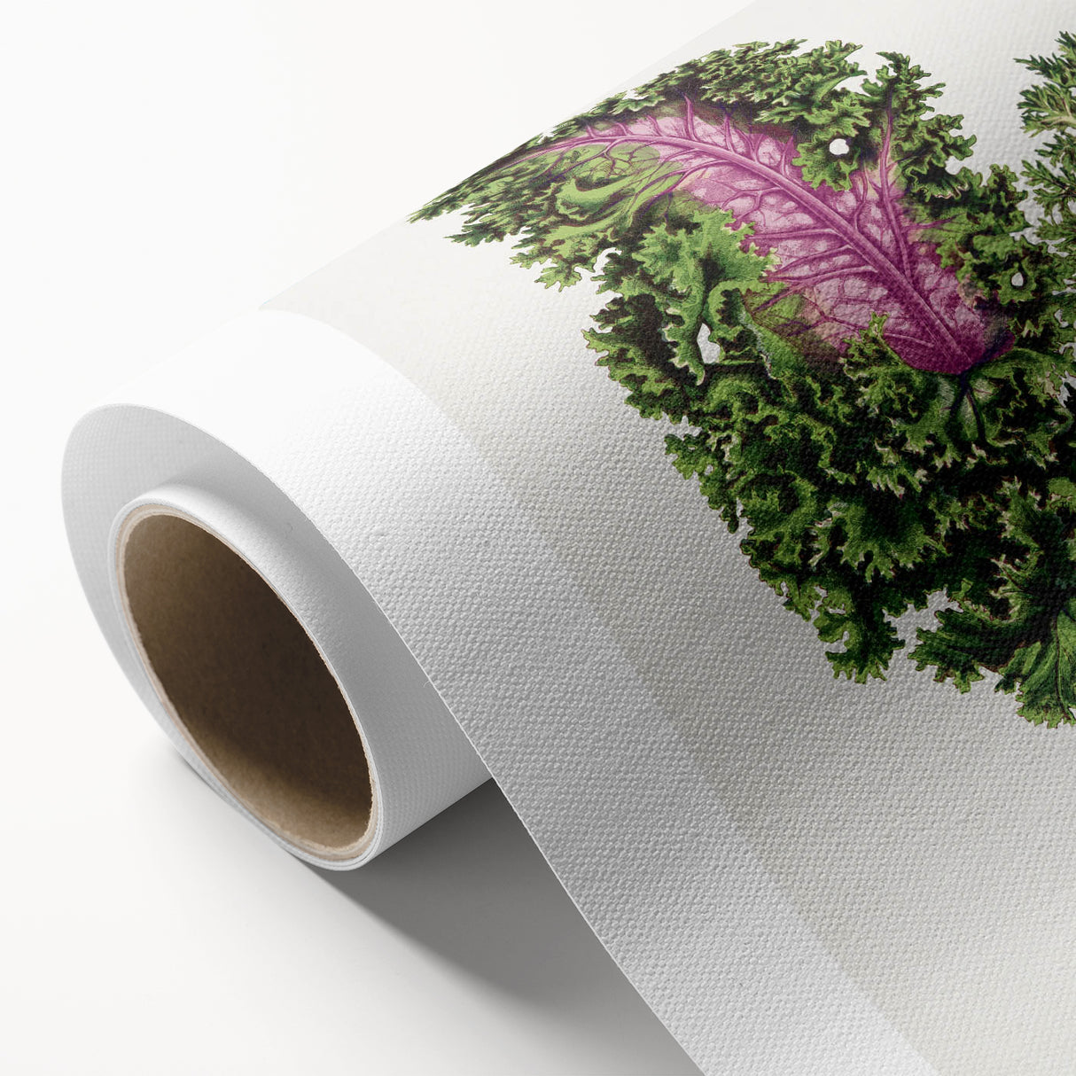 Romanticism Art - Wild Cabbage Leaf Illustration on Canvas