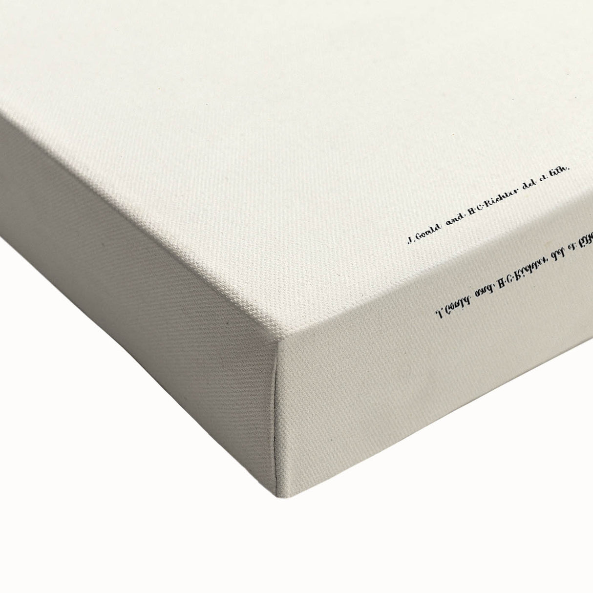 Romanticism Art - Funereal Cockatoo Illustration by Elizabeth Gould