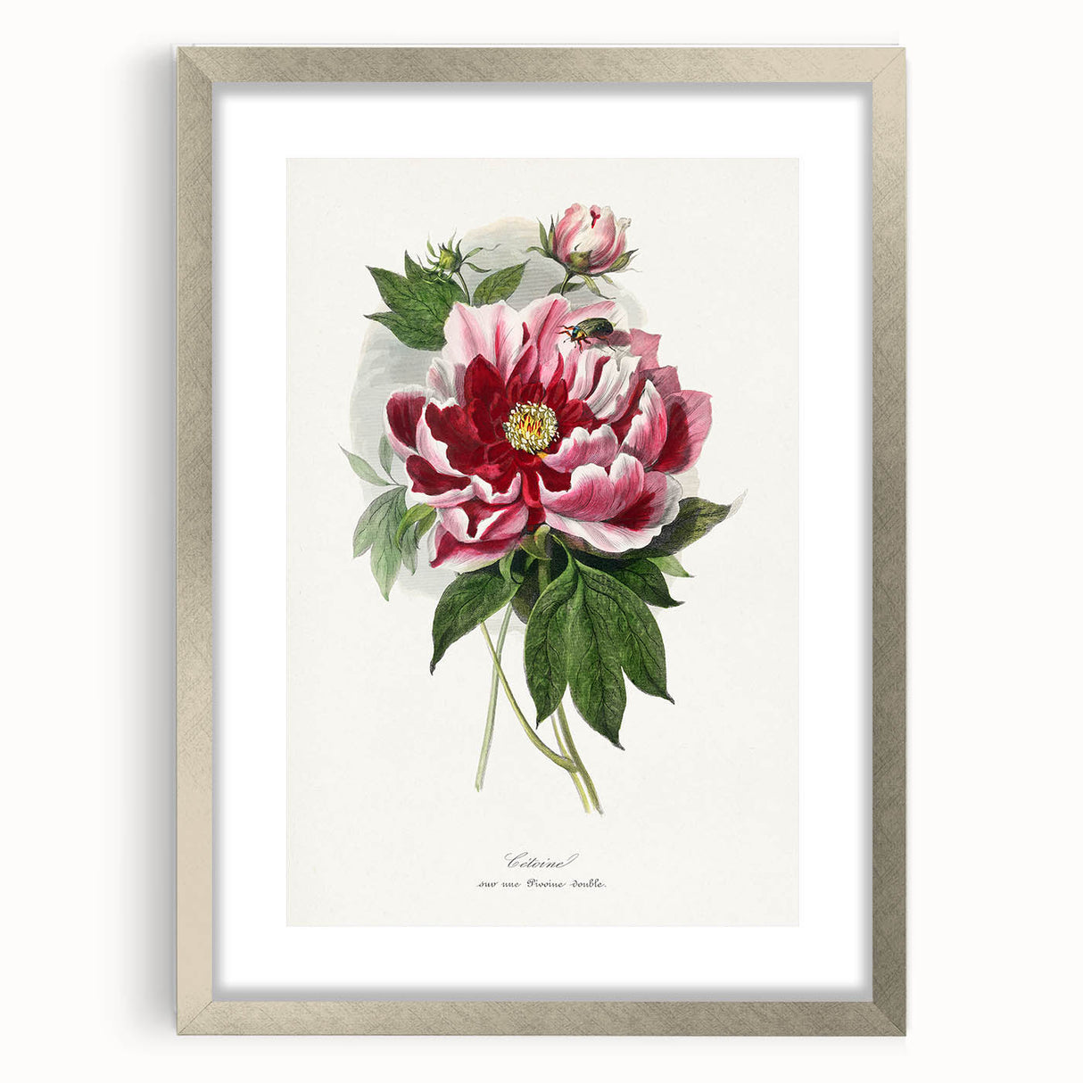 Romanticism Art - Peony Flower Painting on Canvas