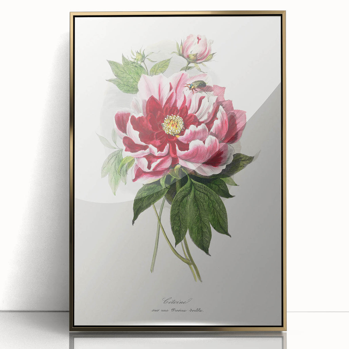 Romanticism Art - Peony Flower Painting on Canvas