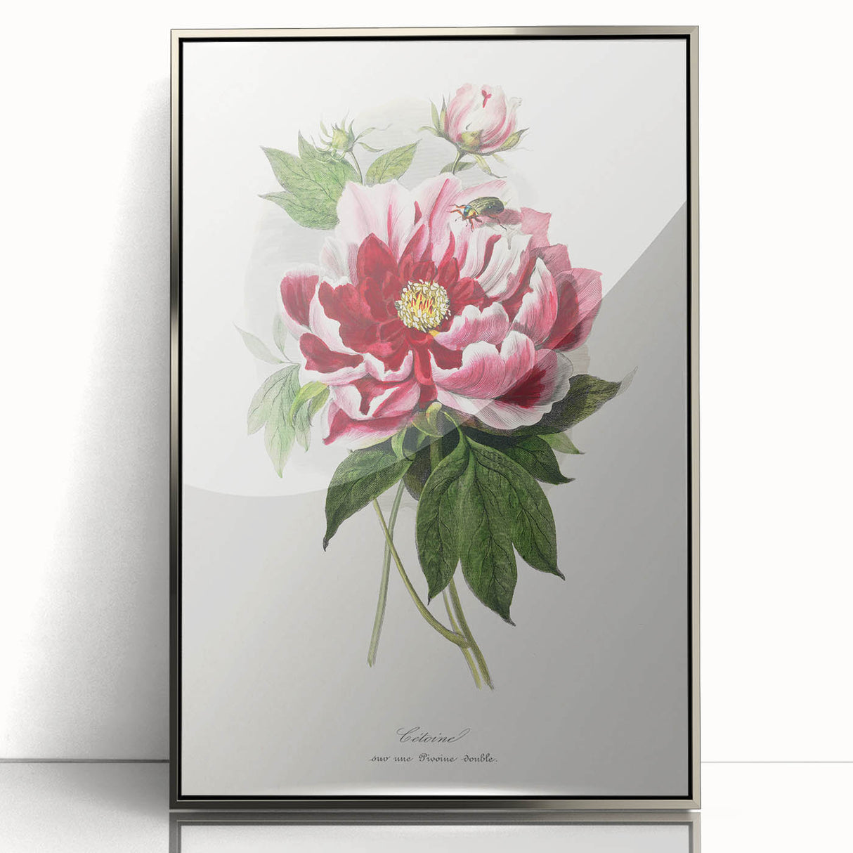 Romanticism Art - Peony Flower Painting on Canvas